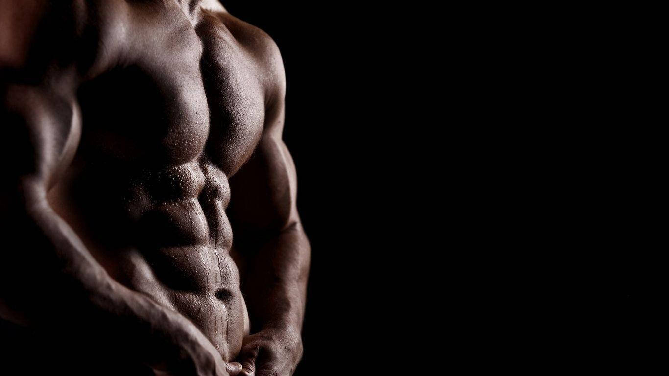 muscle man, muscular male torso, glistening with sweat, HD Desktop Wallpaper
