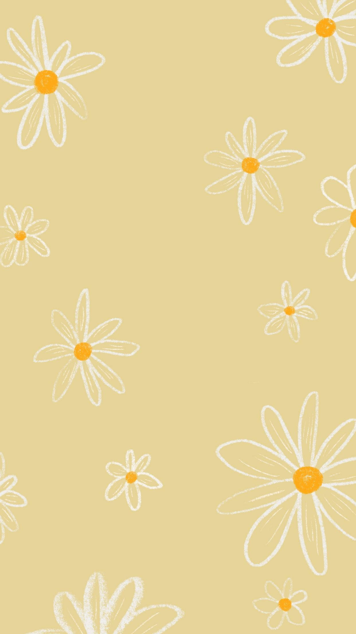 white daisies, orange centers, soft beige background, Full HD Phone Wallpaper