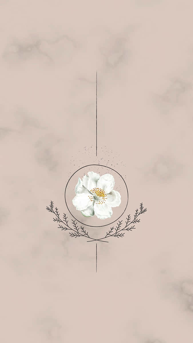 white flower, golden center, minimalist circle, SD Phone Wallpaper