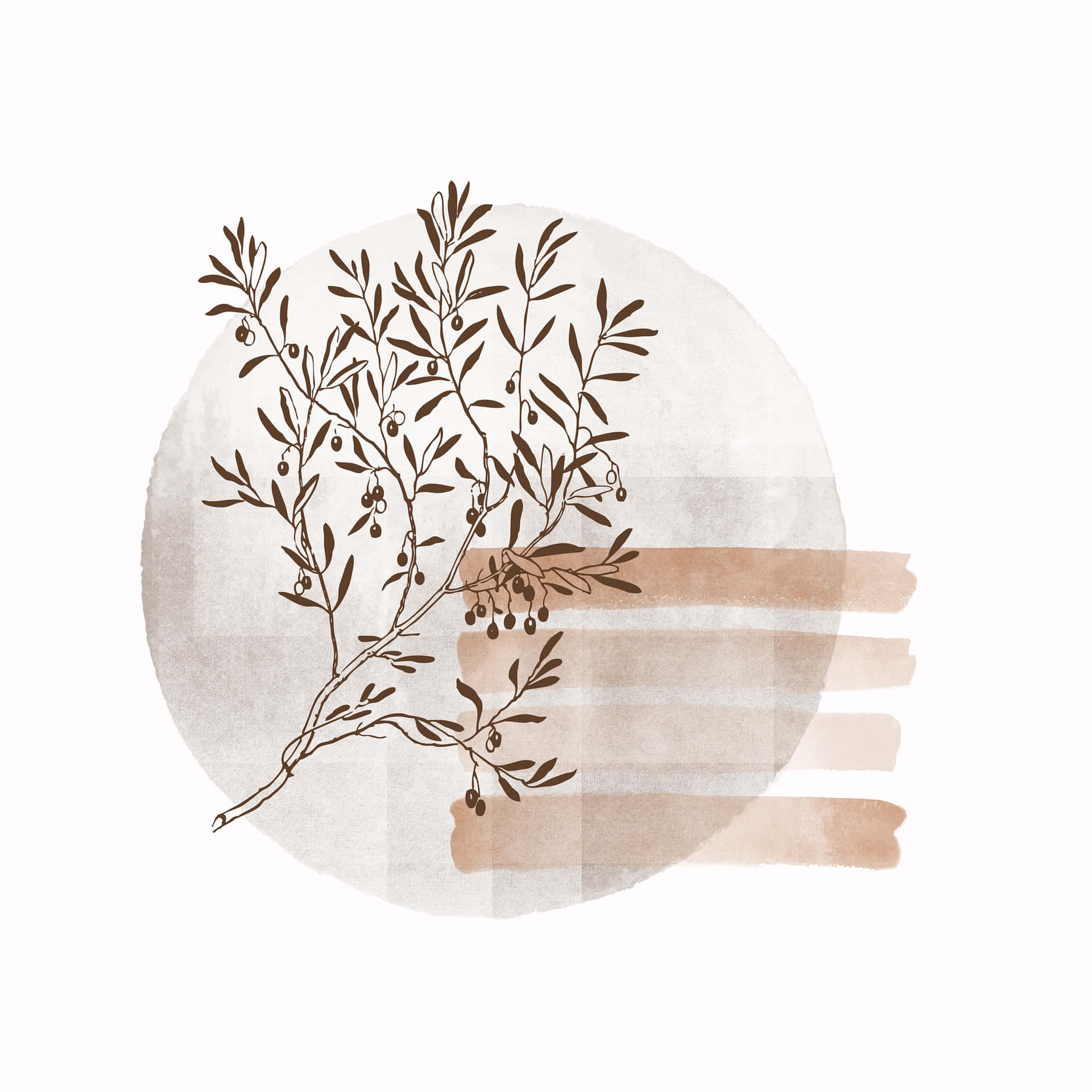 olive branch, brown ink, soft watercolor circle, Full HD Desktop Wallpaper