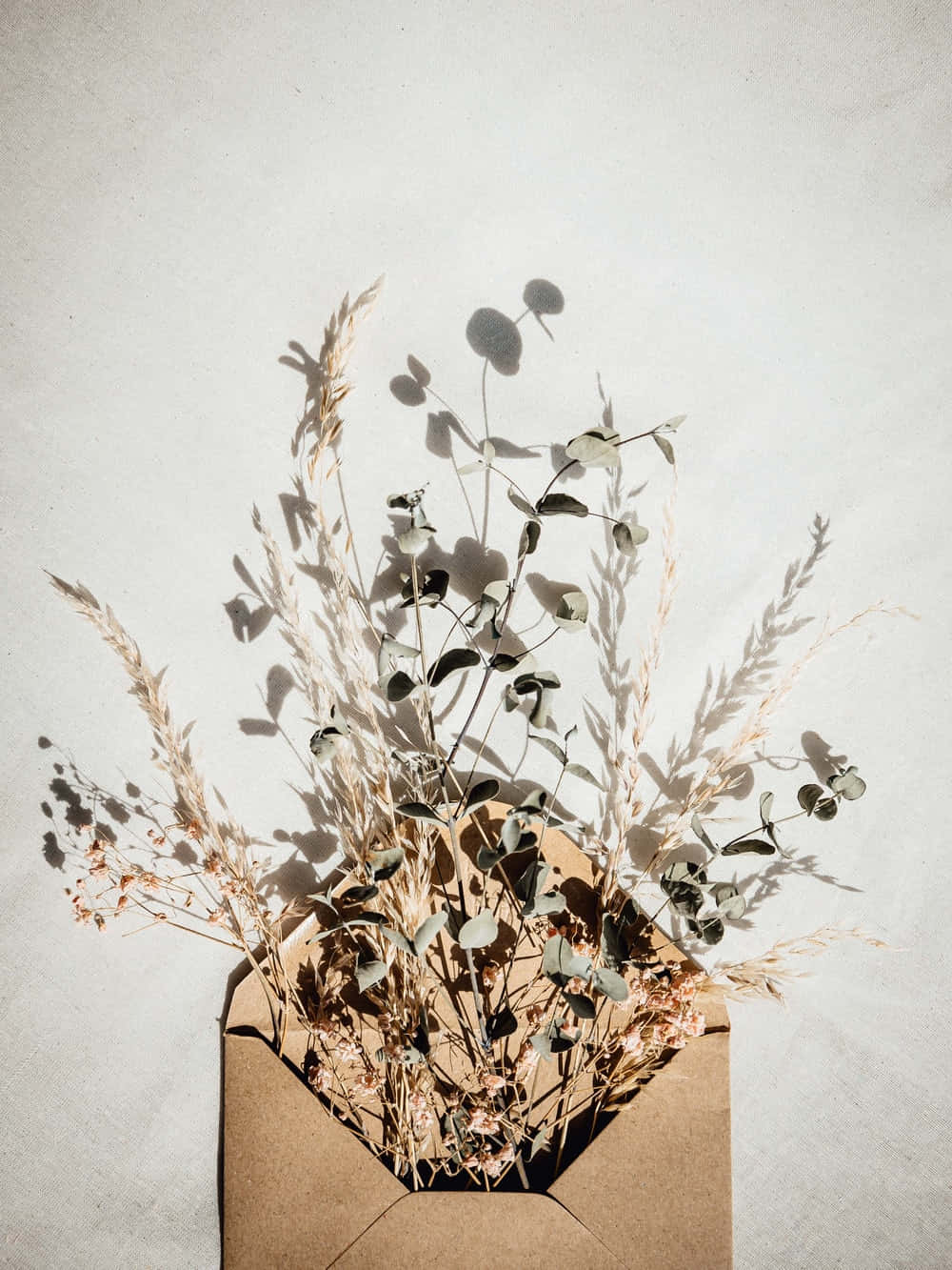 boho art, dried eucalyptus, grasses, HD Phone Wallpaper