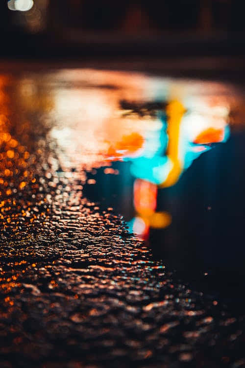 Christmas night, neon lights, wet pavement, SD Phone Wallpaper