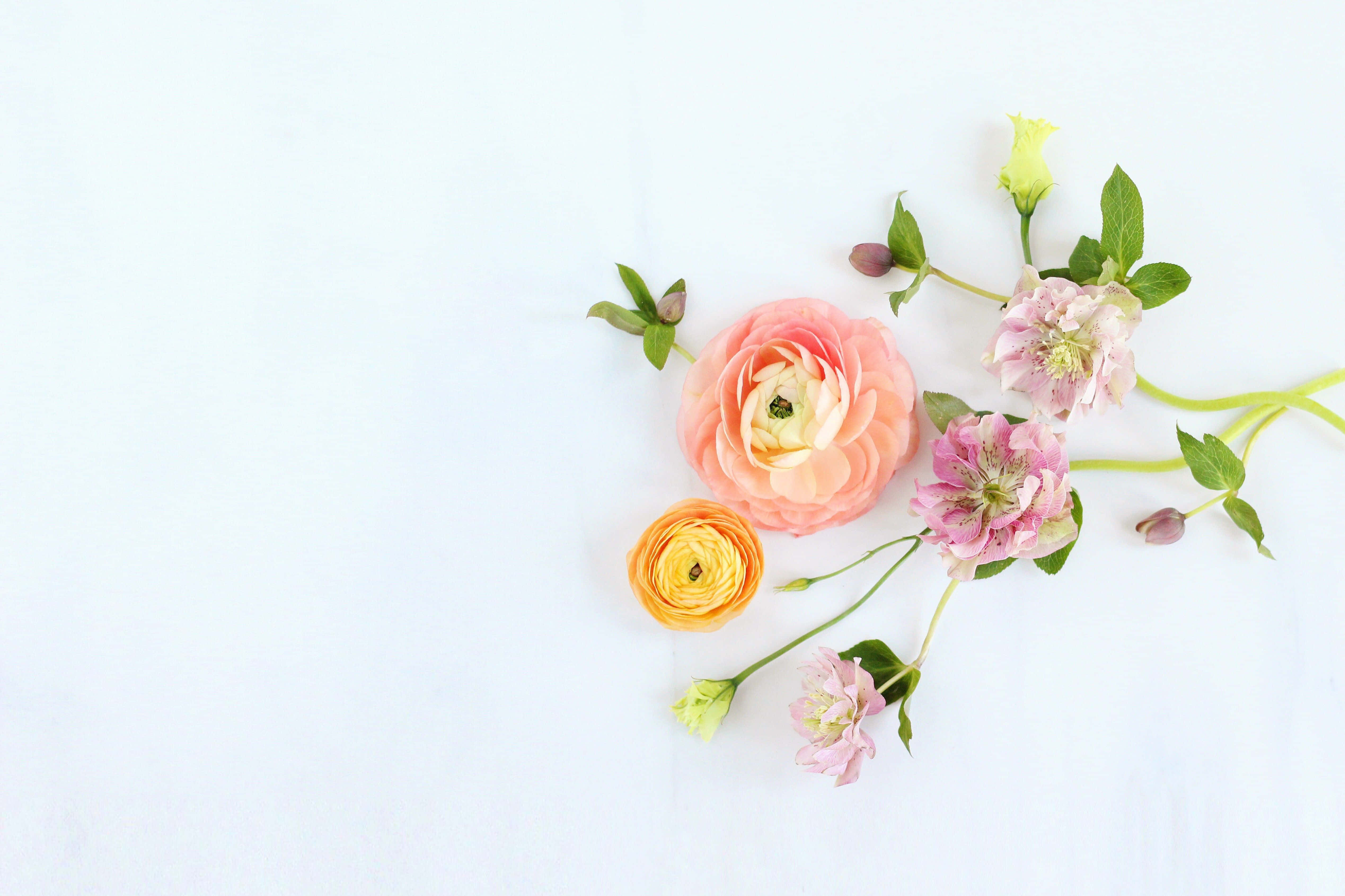 boho computer, pastel ranunculus, hellebore, 4K Desktop Wallpaper