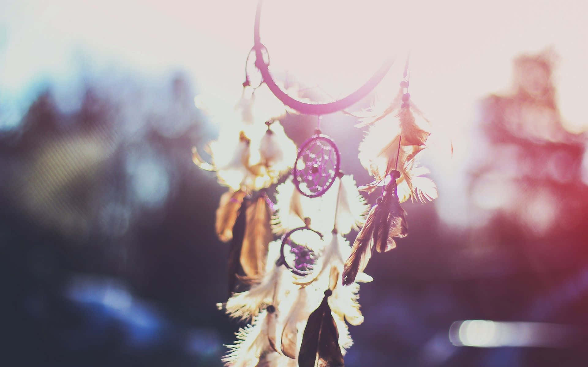 Boho Computer, dreamcatcher, feathers, Full HD Desktop Wallpaper