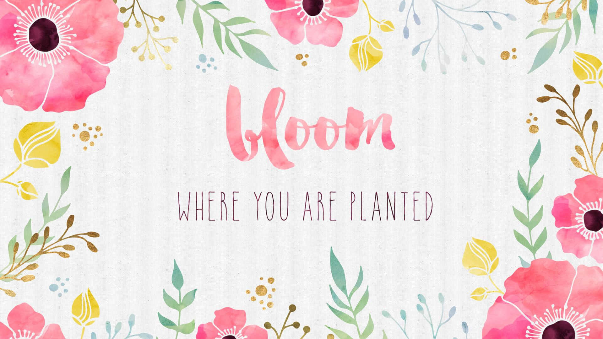 Boho Mac, watercolor floral border, soft pink, Full HD Desktop Wallpaper