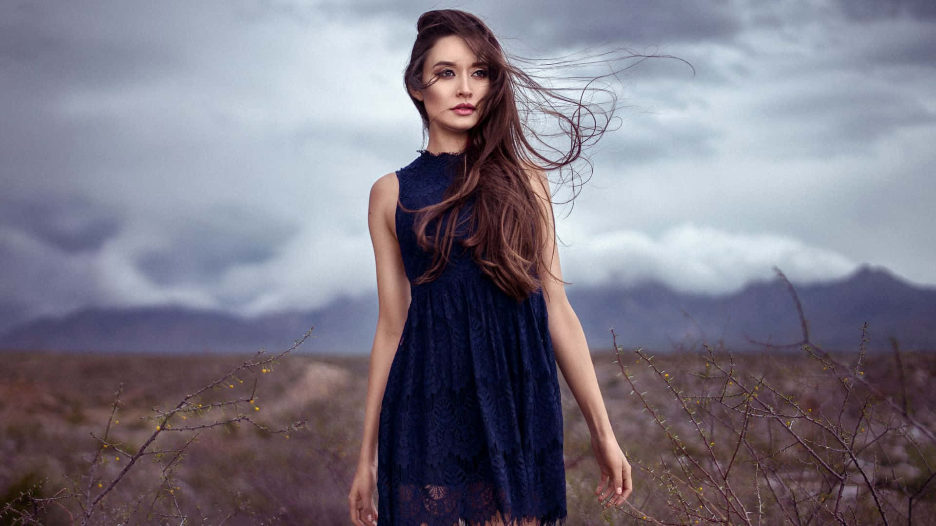 Boho Mac, navy lace dress, windswept field, Full HD Desktop Wallpaper