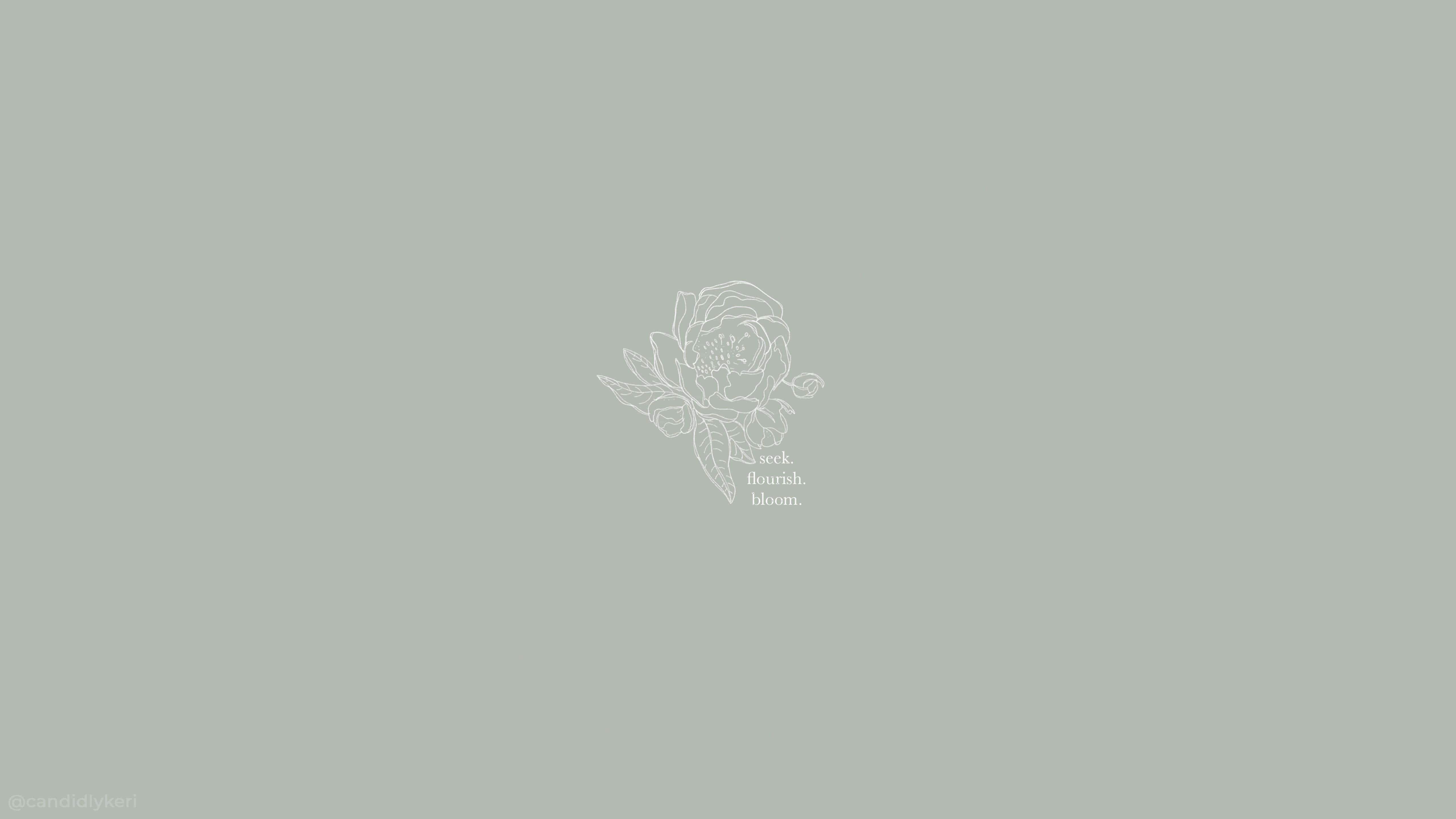 Boho Mac, rose, muted sage green background, 5K Desktop Wallpaper