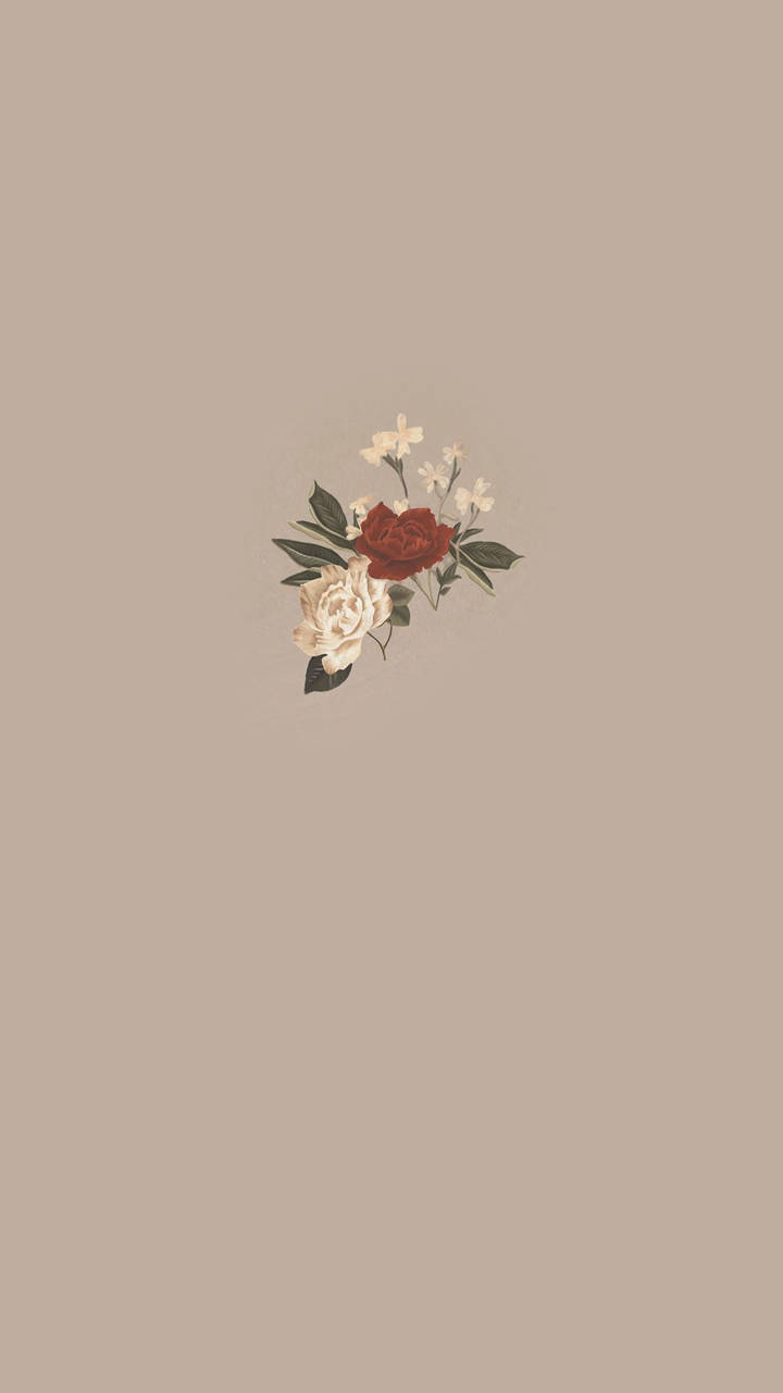 minimalist boho flowers, red roses, cream roses, HD Phone Wallpaper