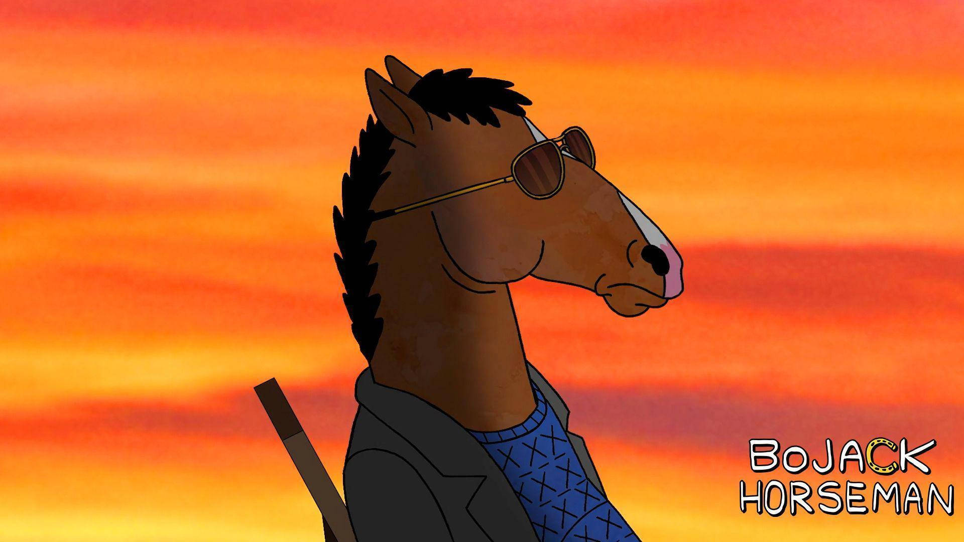 Bojack Horseman, sunglasses, jacket, Full HD Desktop Wallpaper