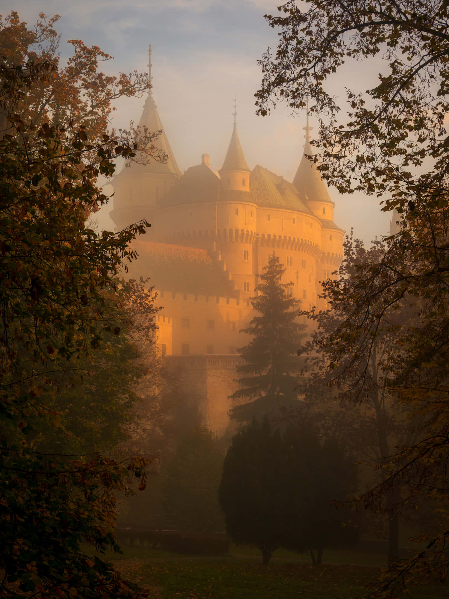 Bojnice Castle, golden morning mist, autumn trees, Full HD Phone Wallpaper