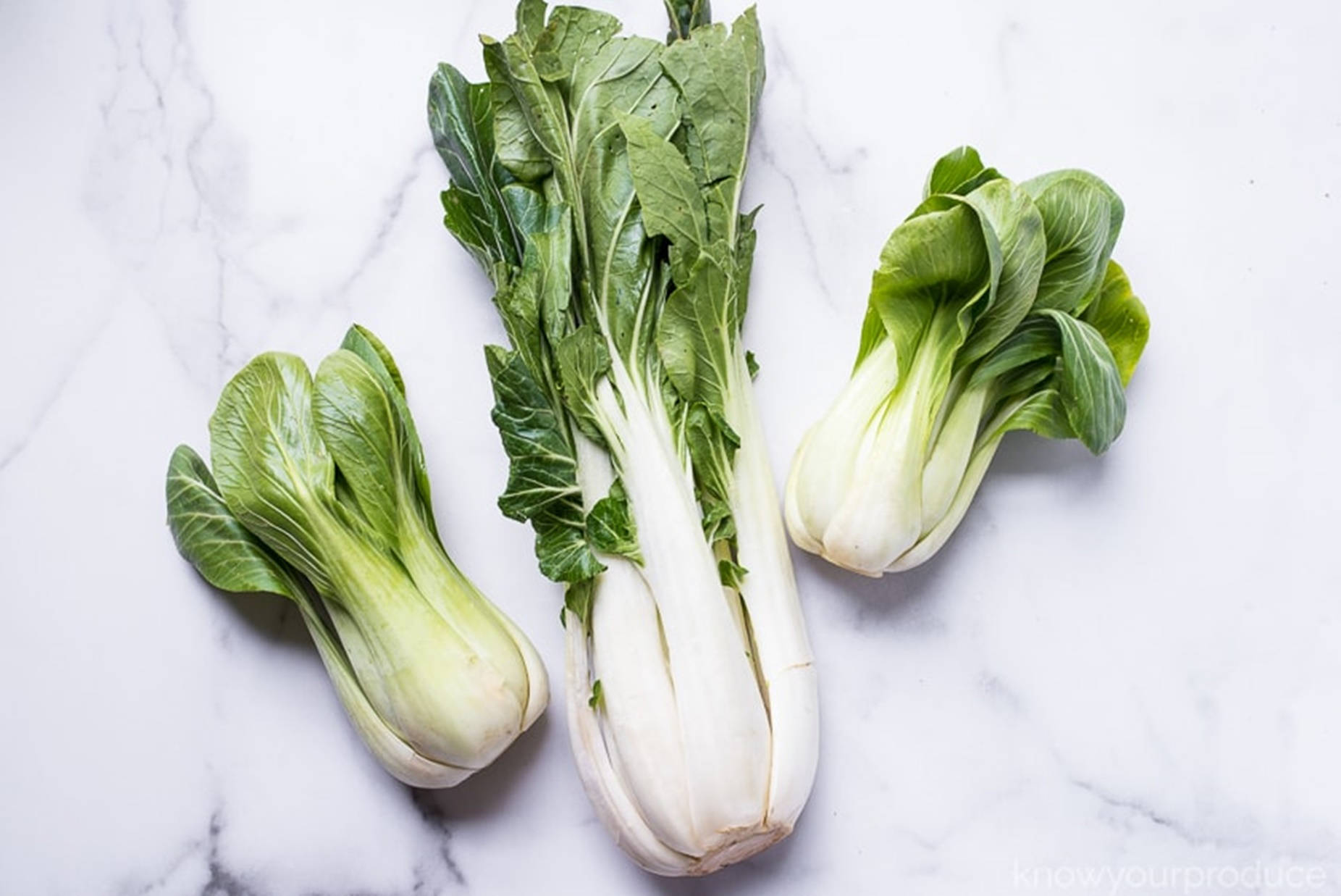 bok choy, crisp white stems, vibrant green leaves, HD Desktop Wallpaper
