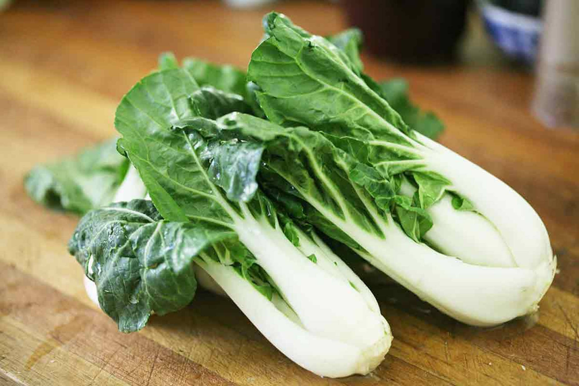 bok choy, crisp white stems, vibrant green leaves, HD Desktop Wallpaper