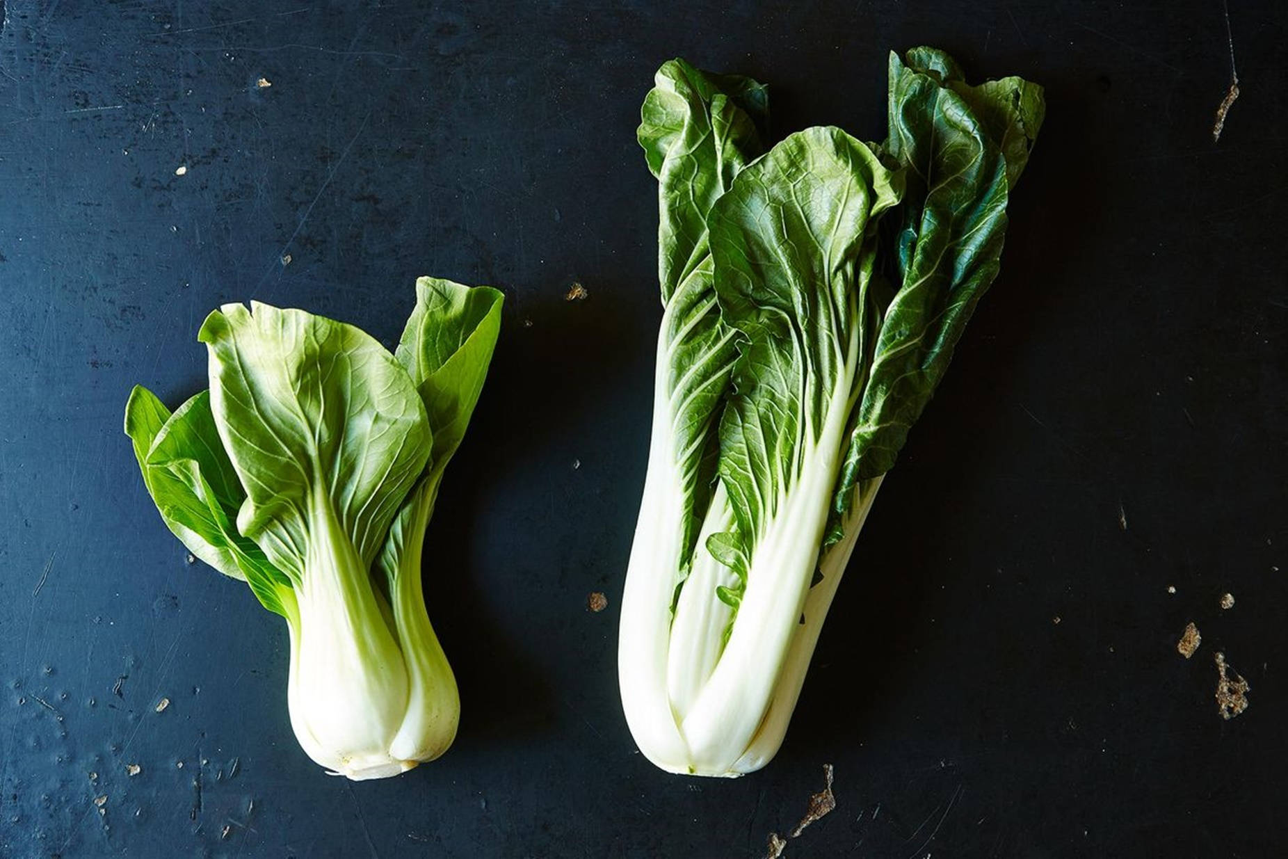 bok choy, crisp white stems, vibrant green leaves, HD Desktop Wallpaper