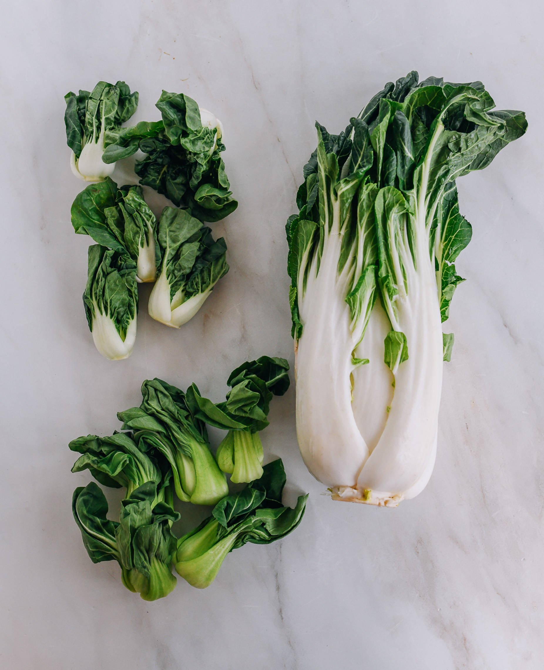 bok choy, Chinese cabbages, crisp white stalks, Full HD Phone Wallpaper