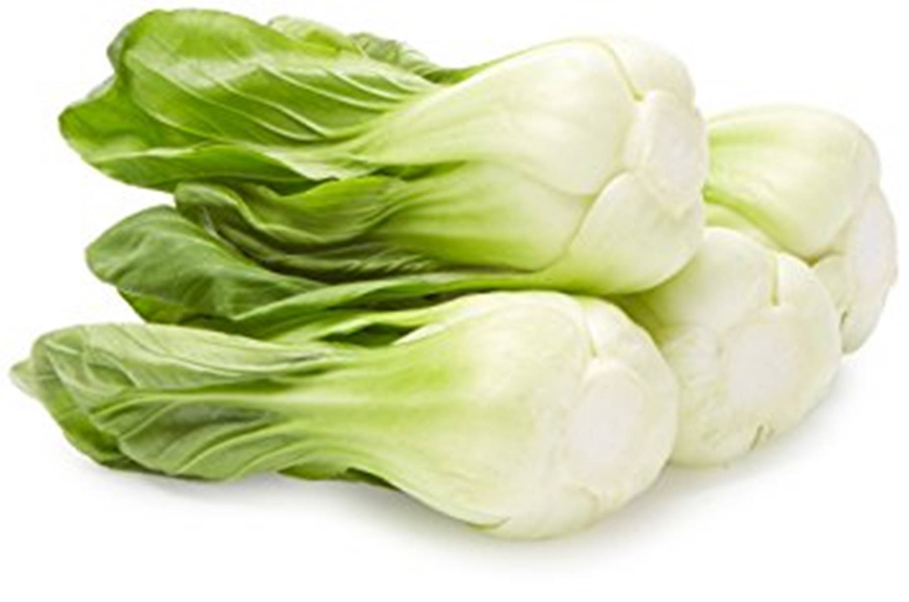 bok choy, crisp green leaves, pale white stems, HD Desktop Wallpaper