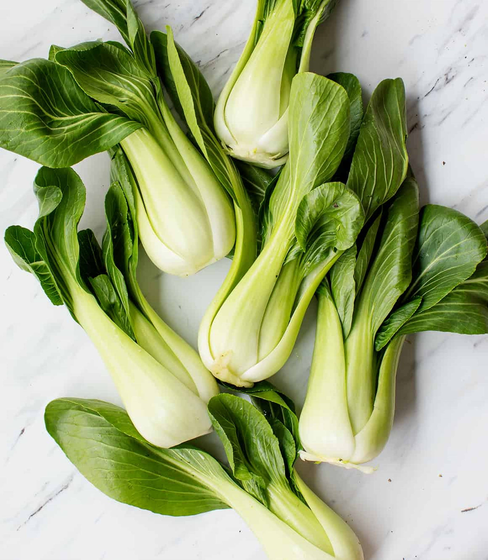 bok choy, crisp green leaves, pale stems, Full HD Phone Wallpaper