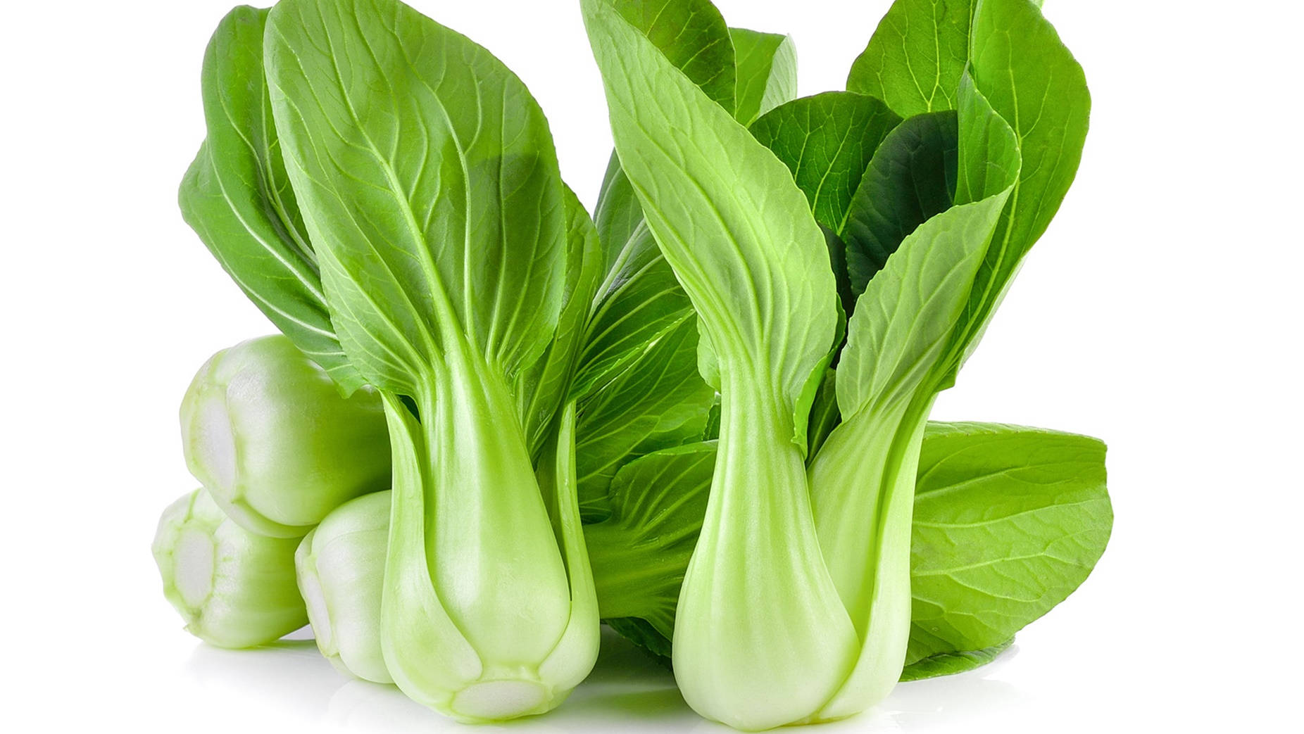 bok choy, vibrant green leaves, pale stems, HD Desktop Wallpaper
