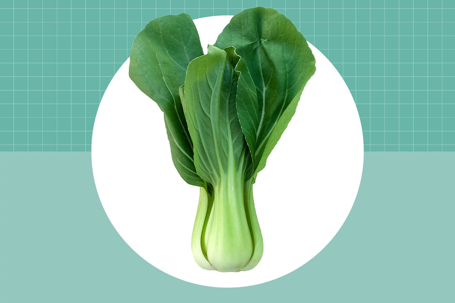 bok choy, vibrant green leaves, pale stems, HD Desktop Wallpaper