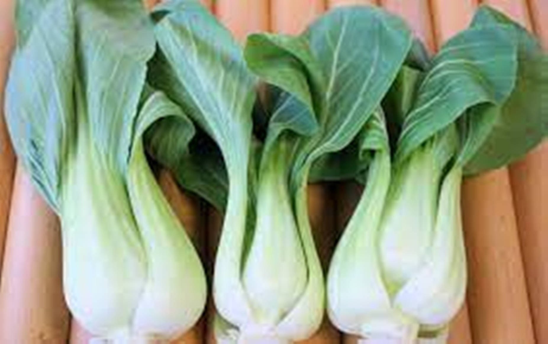 bok choy, crisp green leaves, pale stems, HD Desktop Wallpaper