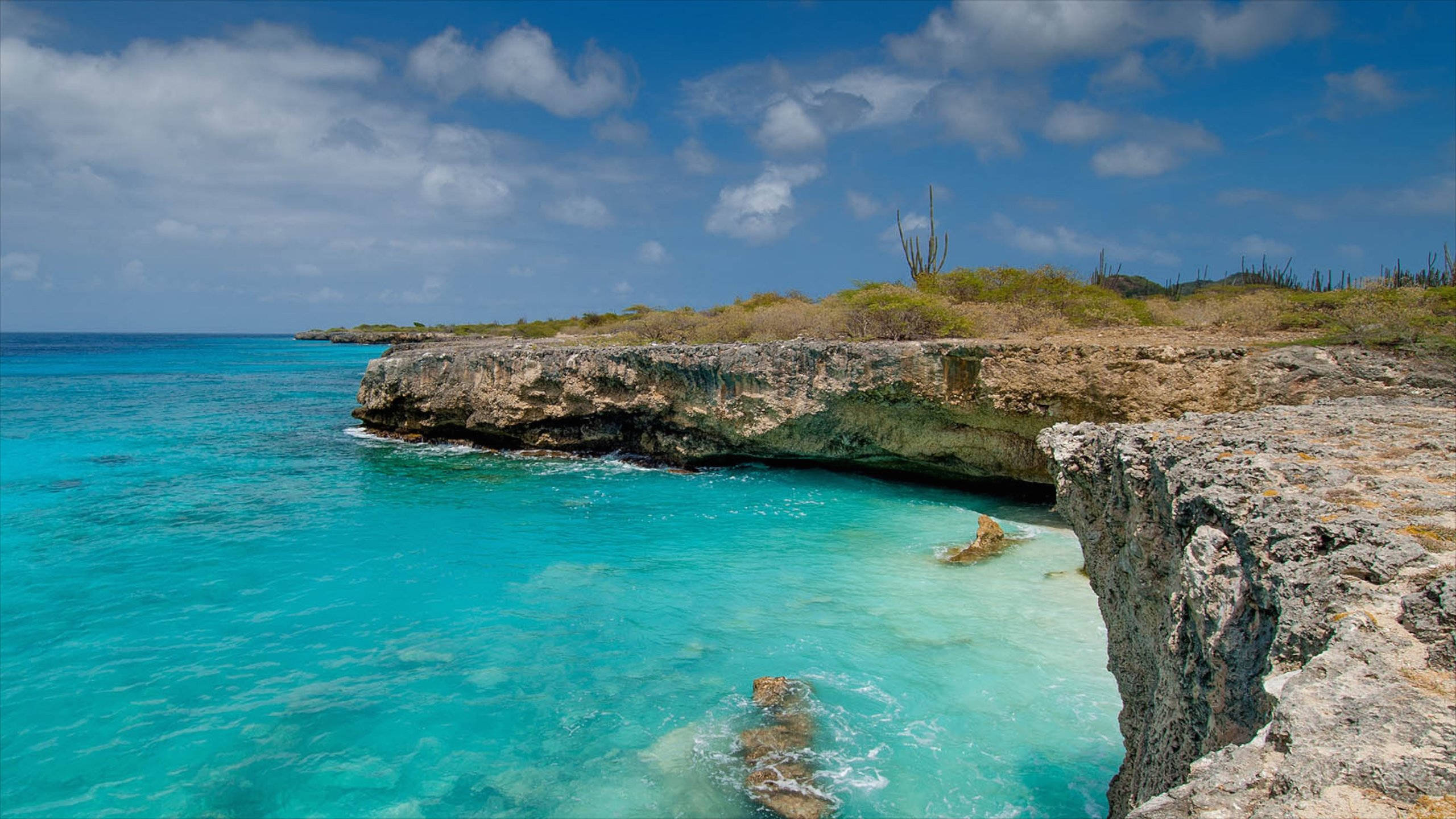 Bonaire, cliff, turquoise waters, 2K Desktop Wallpaper