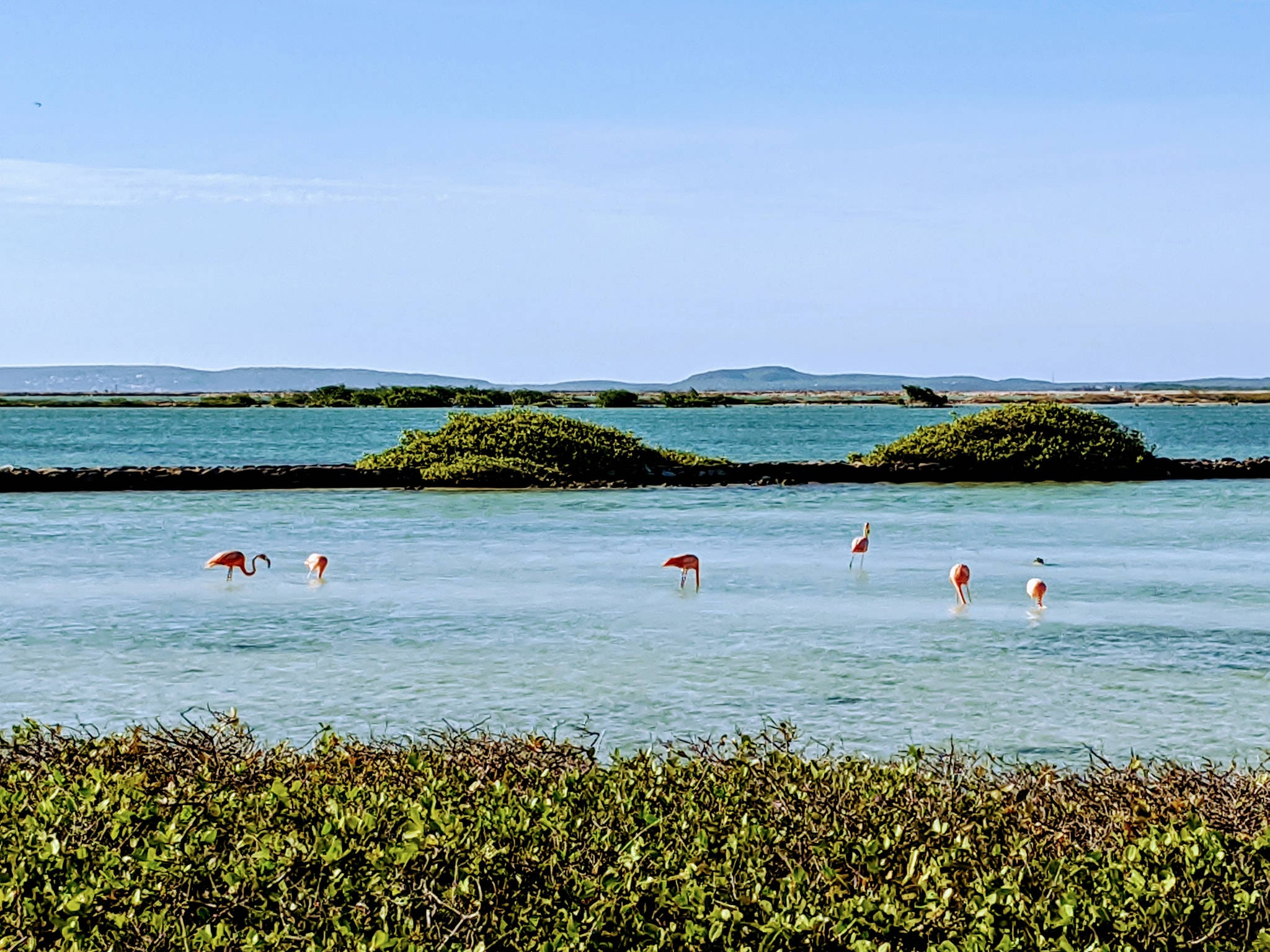 Bonaire, flamingos, turquoise shallows, Full HD Desktop Wallpaper