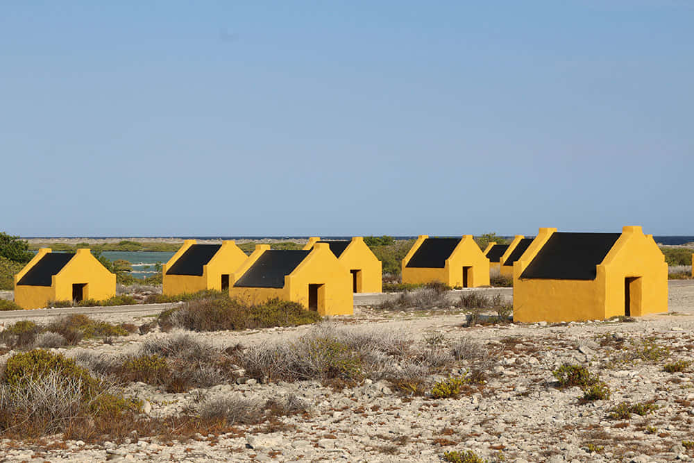 bright yellow slave huts, Bonaire, black roofs, SD Desktop Wallpaper