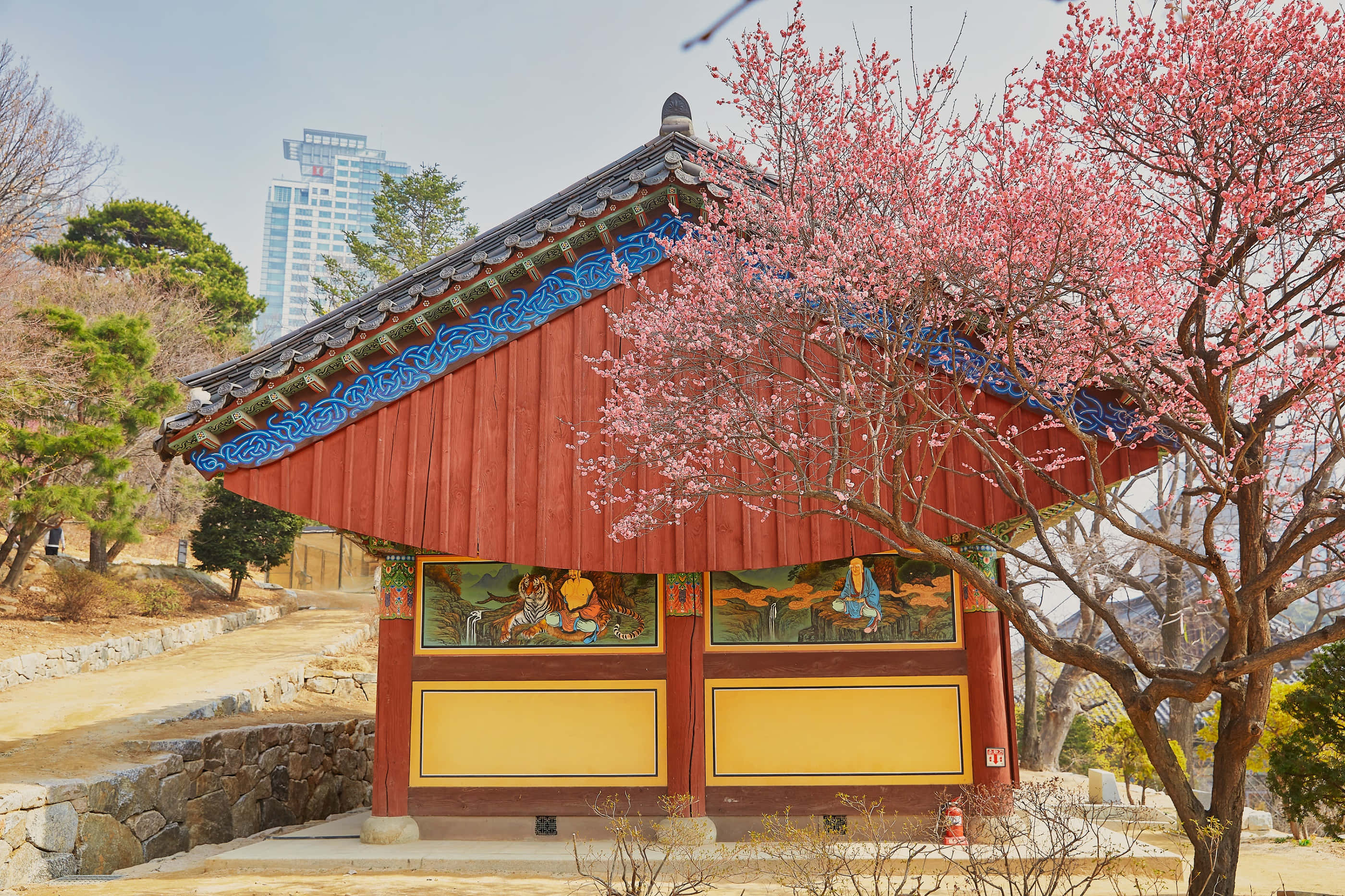 Bongeunsa Temple, cherry blossoms, traditional red Korean pavilion, 2K Desktop Wallpaper