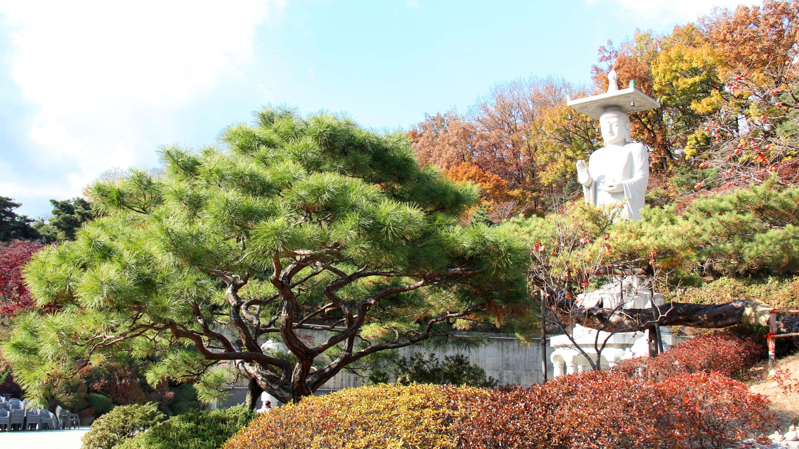 Bongeunsa Temple, giant Buddha statue, autumn foliage, 2K Desktop Wallpaper