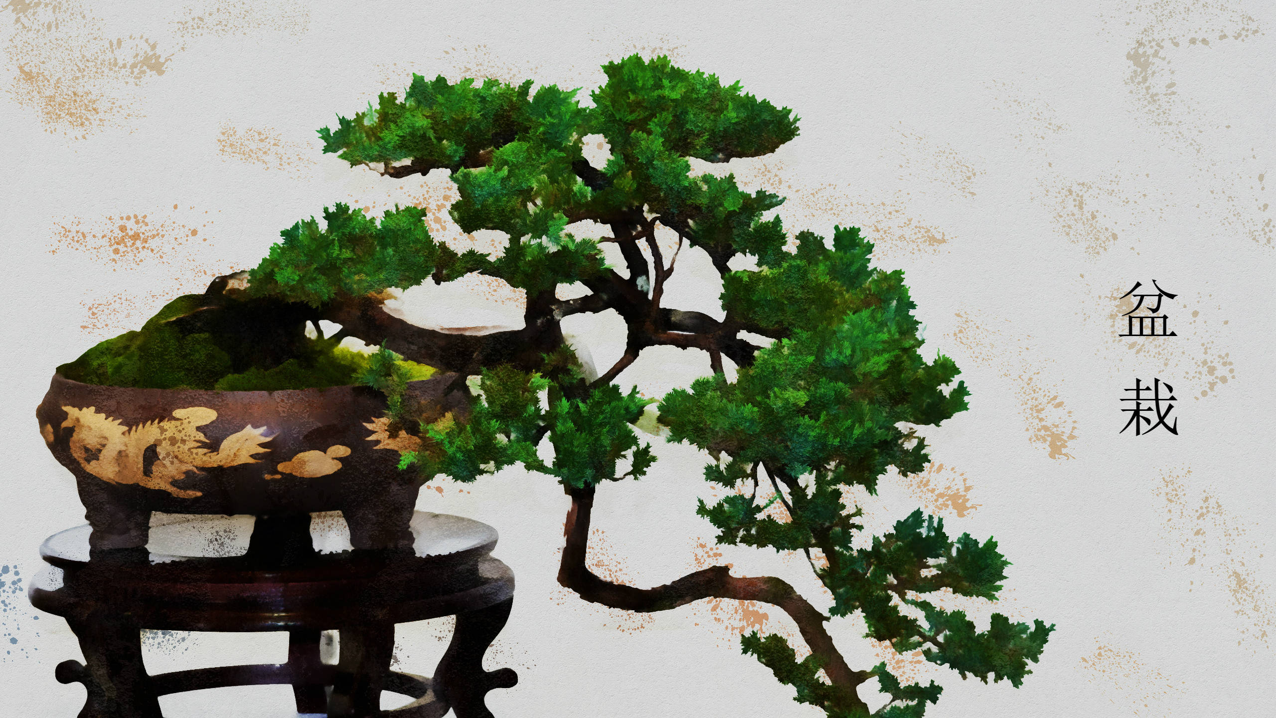 bonsai tree, kengai style, dark pot, 2K Desktop Wallpaper