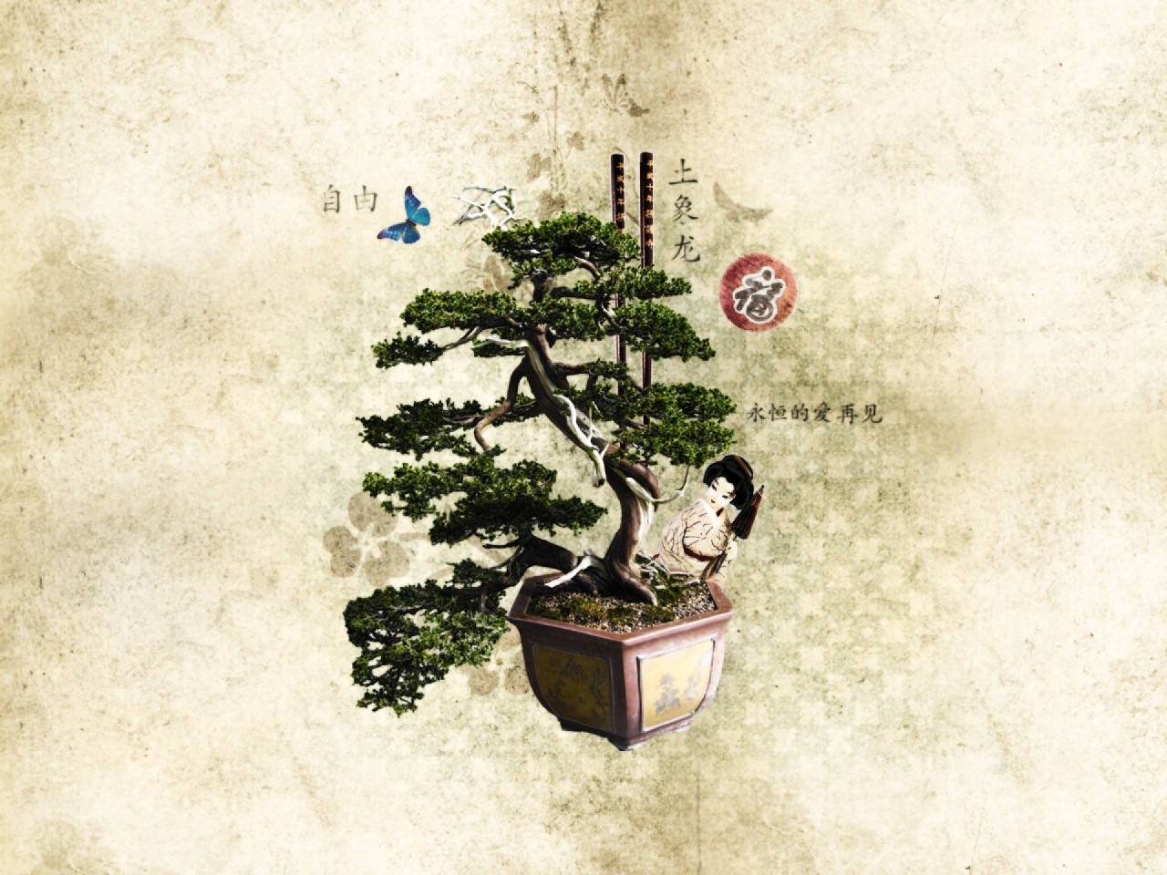 bonsai tree, moyogi style, miniature figure, HD Desktop Wallpaper