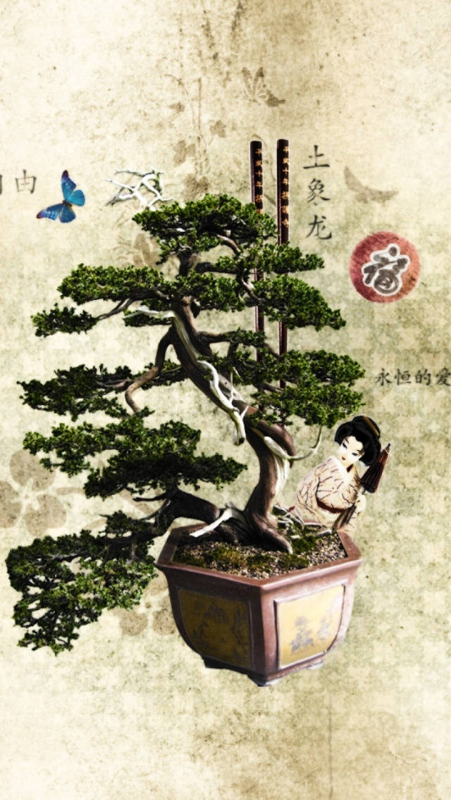 bonsai tree, double trunk style, decorative pot, SD Phone Wallpaper