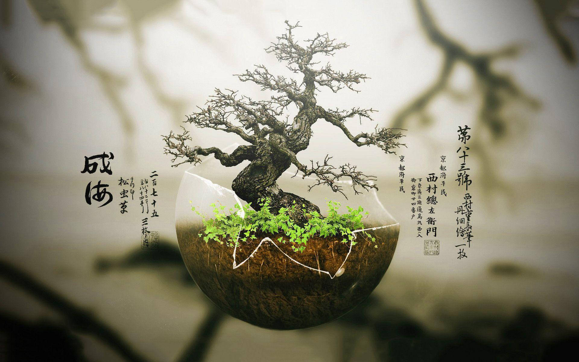 bonsai tree, cracked earth sphere, blurred tree branch backdrop, Full HD Desktop Wallpaper