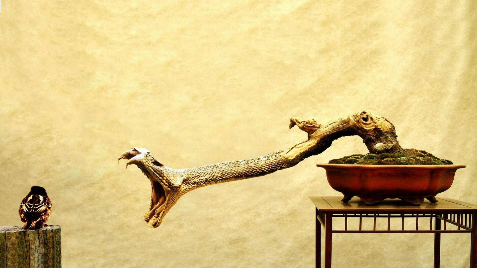 bonsai tree, snake head, red pot, Full HD Desktop Wallpaper
