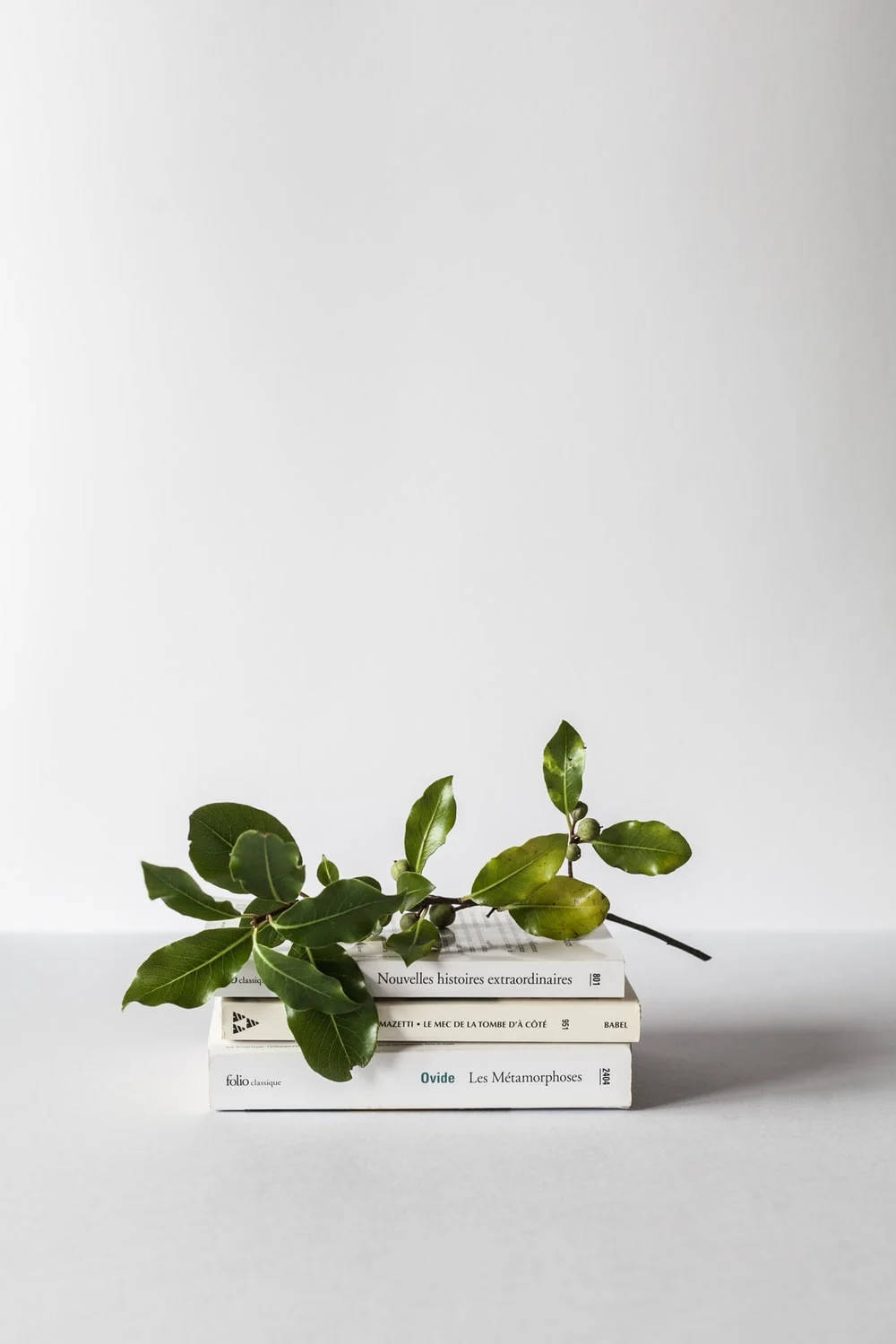 green and white aesthetic, three white books, fresh green leafy branch, HD Phone Wallpaper