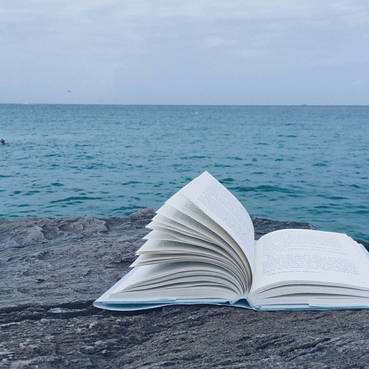 Ocean Book Aesthetic, open book, weathered rock, HD Desktop Wallpaper