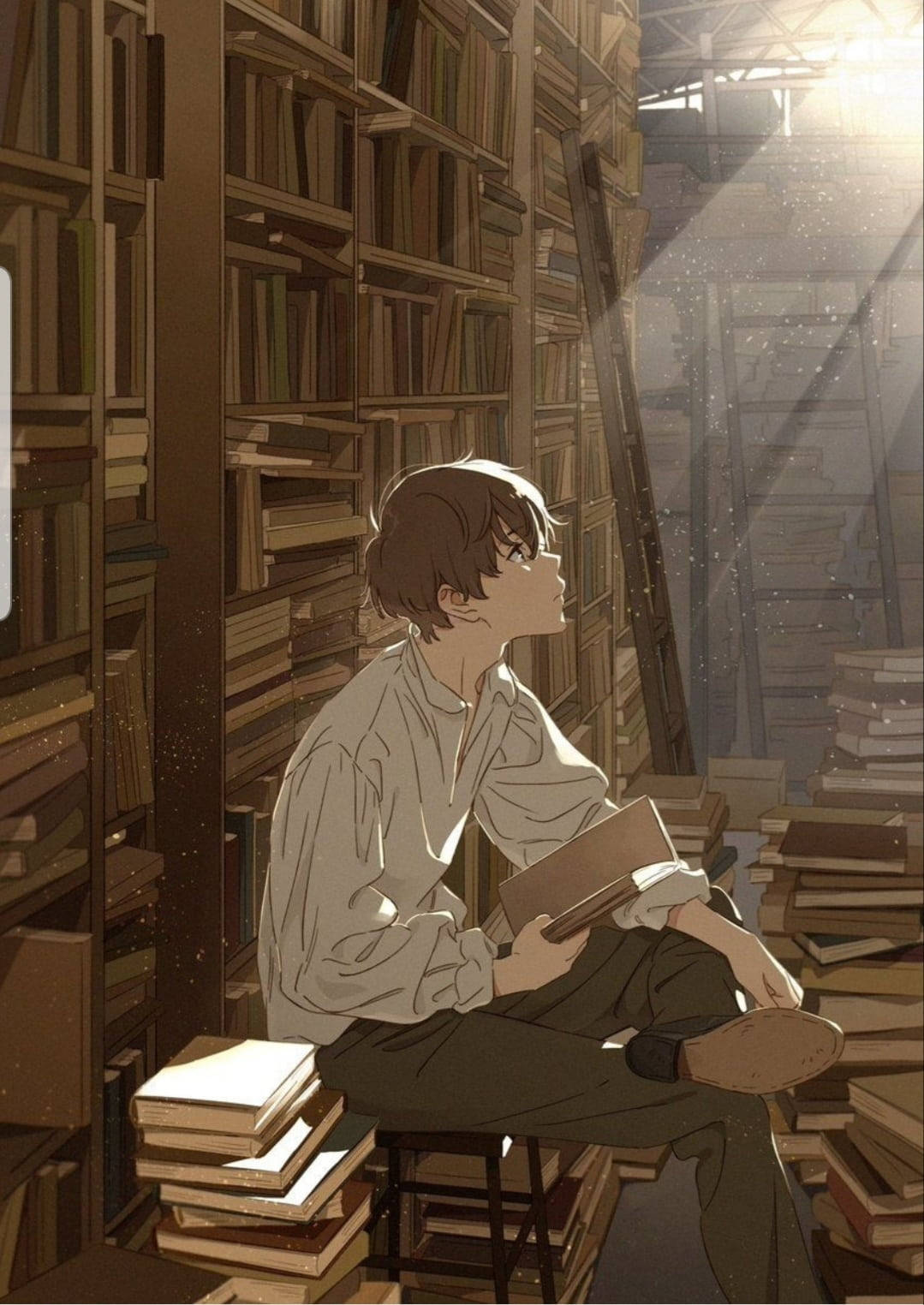 young man, towering bookshelves, sunlit library, HD Phone Wallpaper