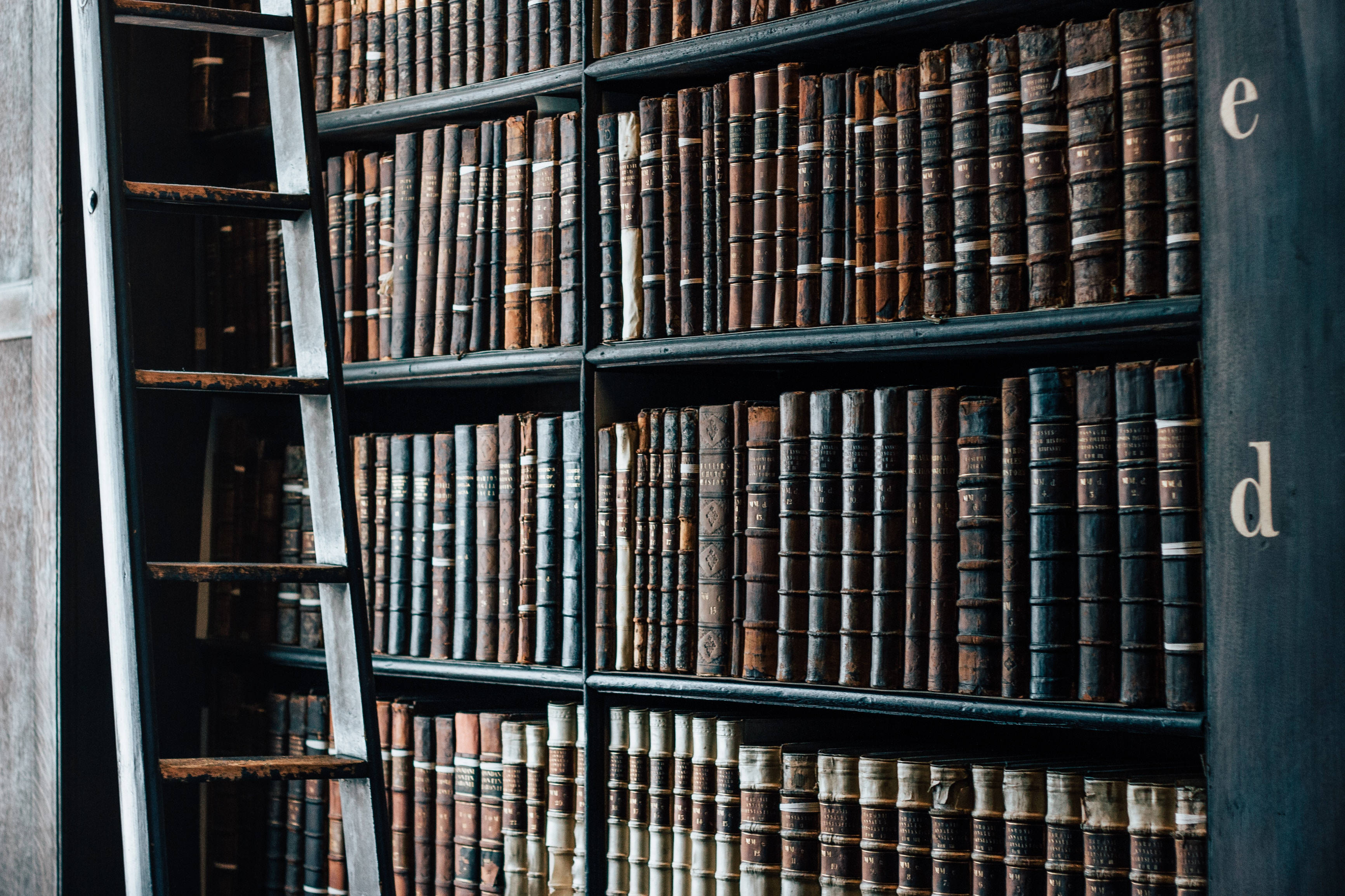 tall ladder, wall of densely packed vintage leather-bound books, dimly lit library, 2K Desktop Wallpaper