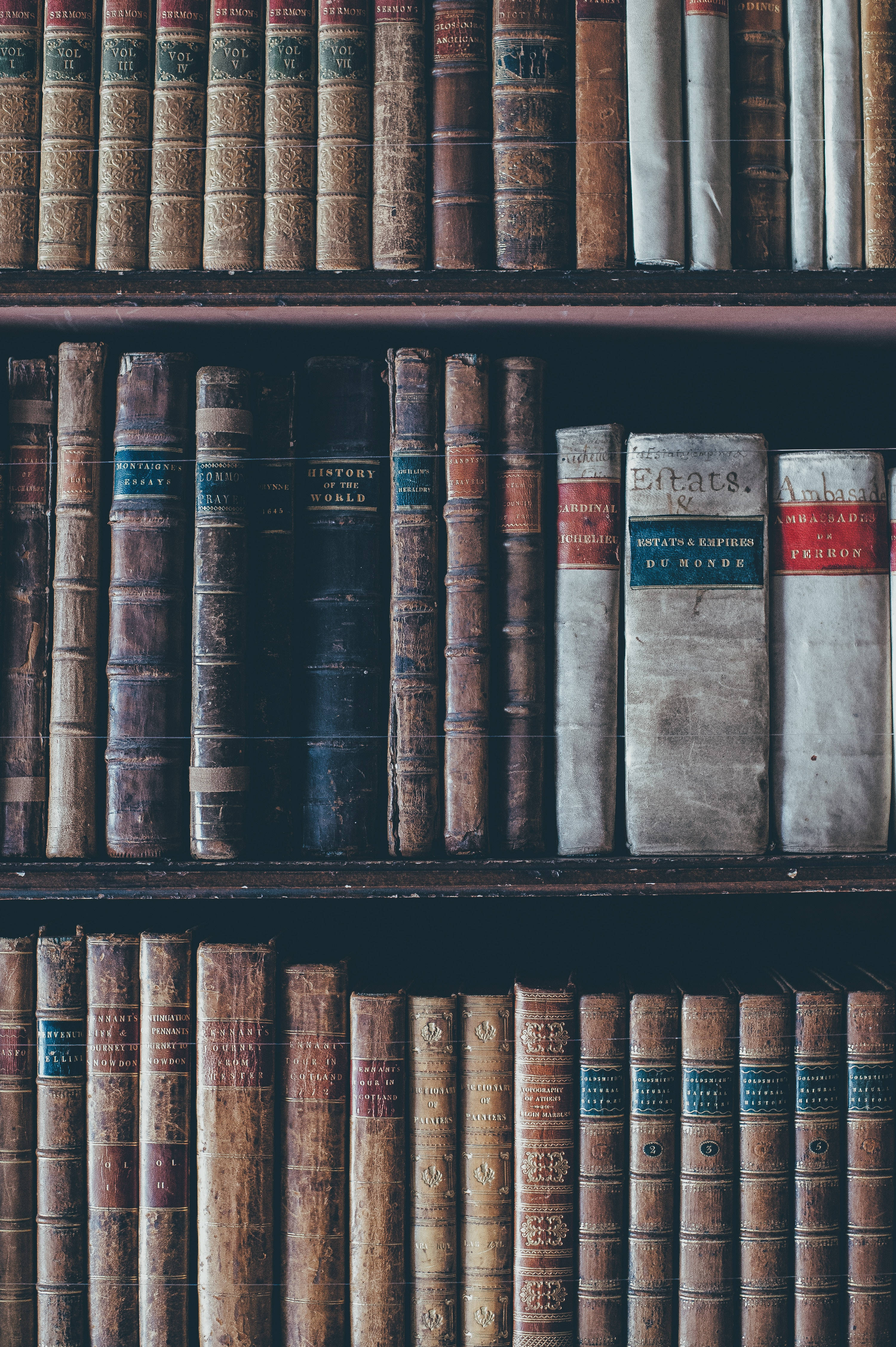 vintage leather-bound books, faded spines, gold lettering, 4K Phone Wallpaper