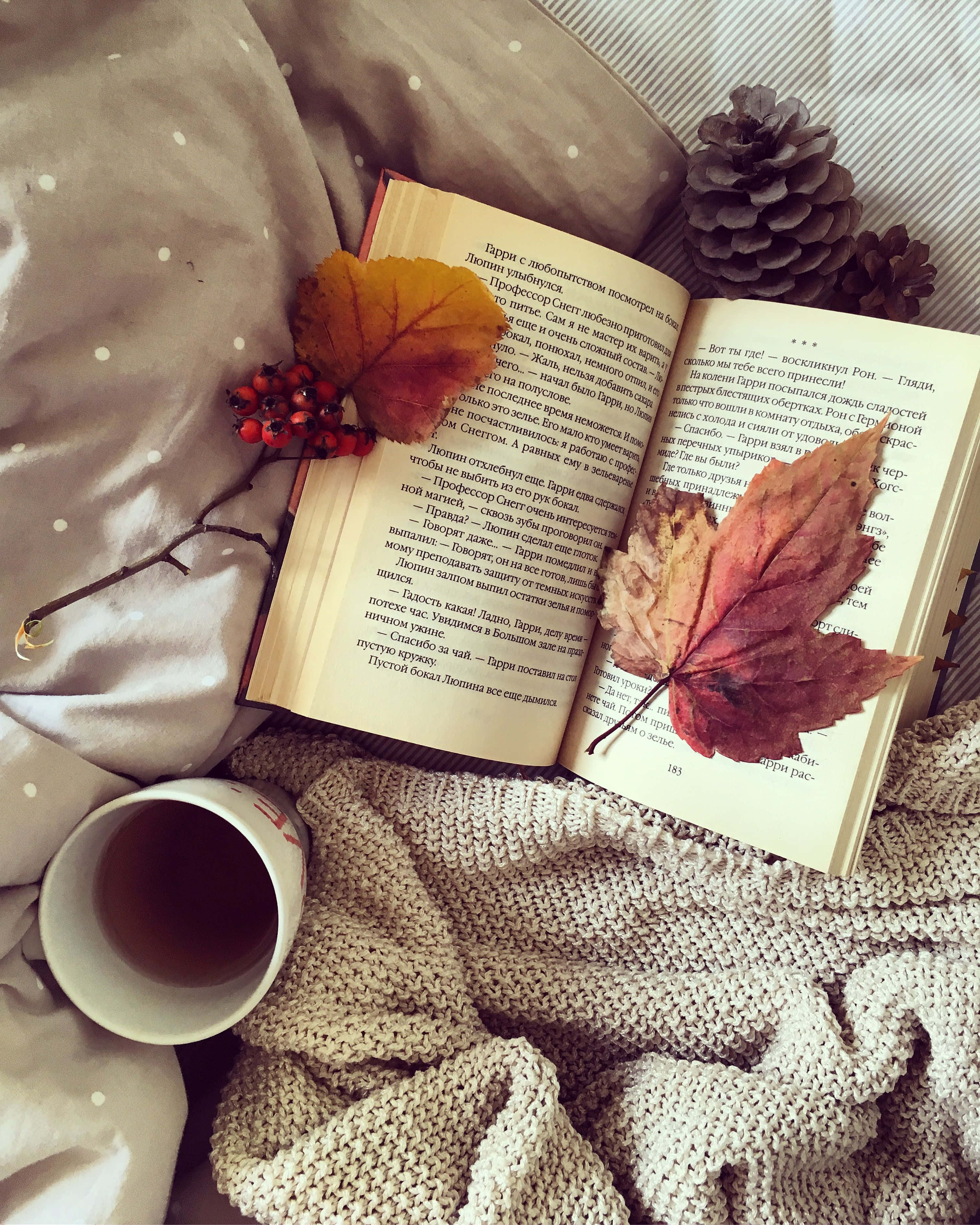 vintage aesthetic, fall, open book, 2K Phone Wallpaper