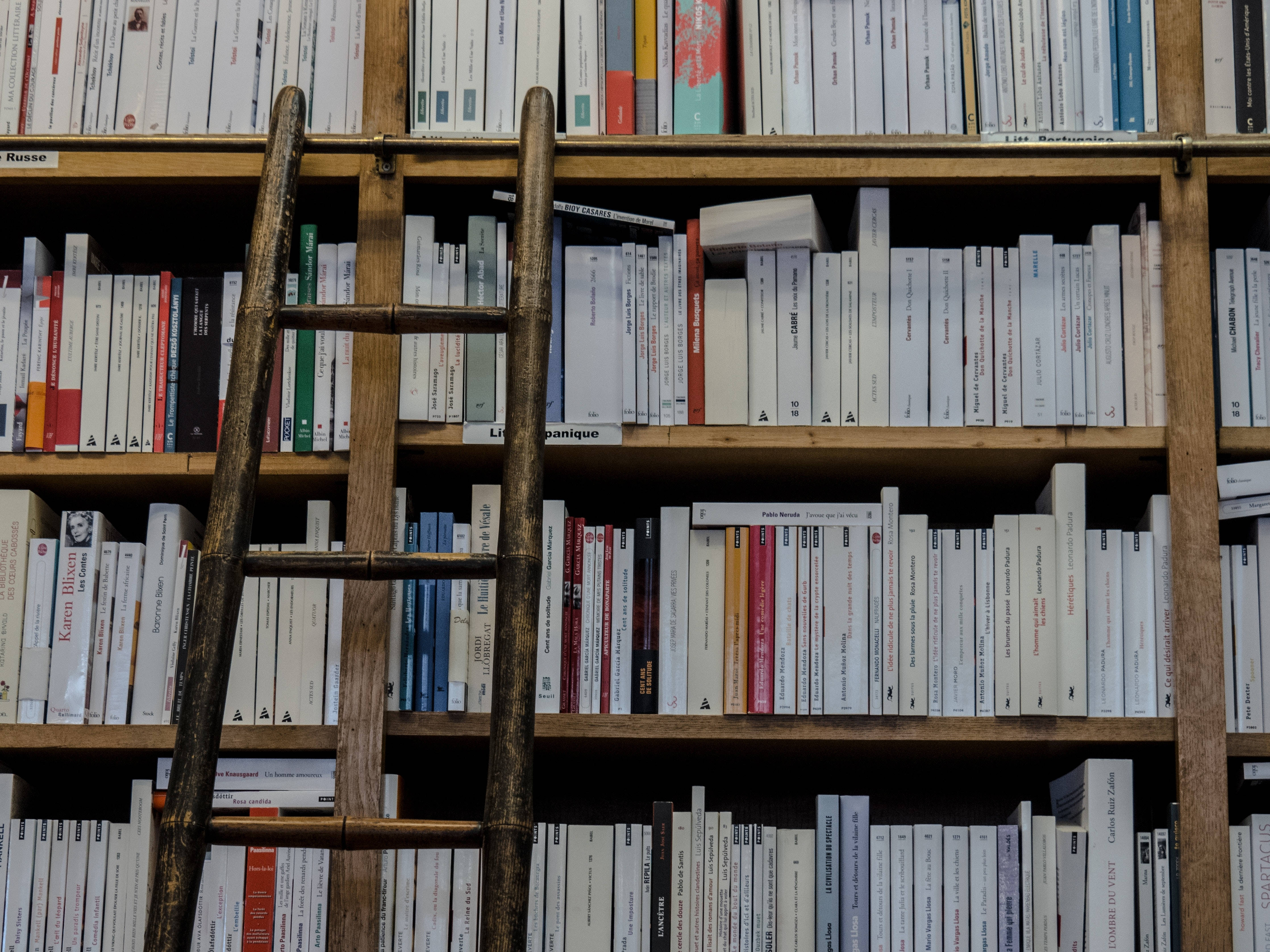 rustic wooden ladder, tall bookshelves, neatly arranged books, 4K Desktop Wallpaper