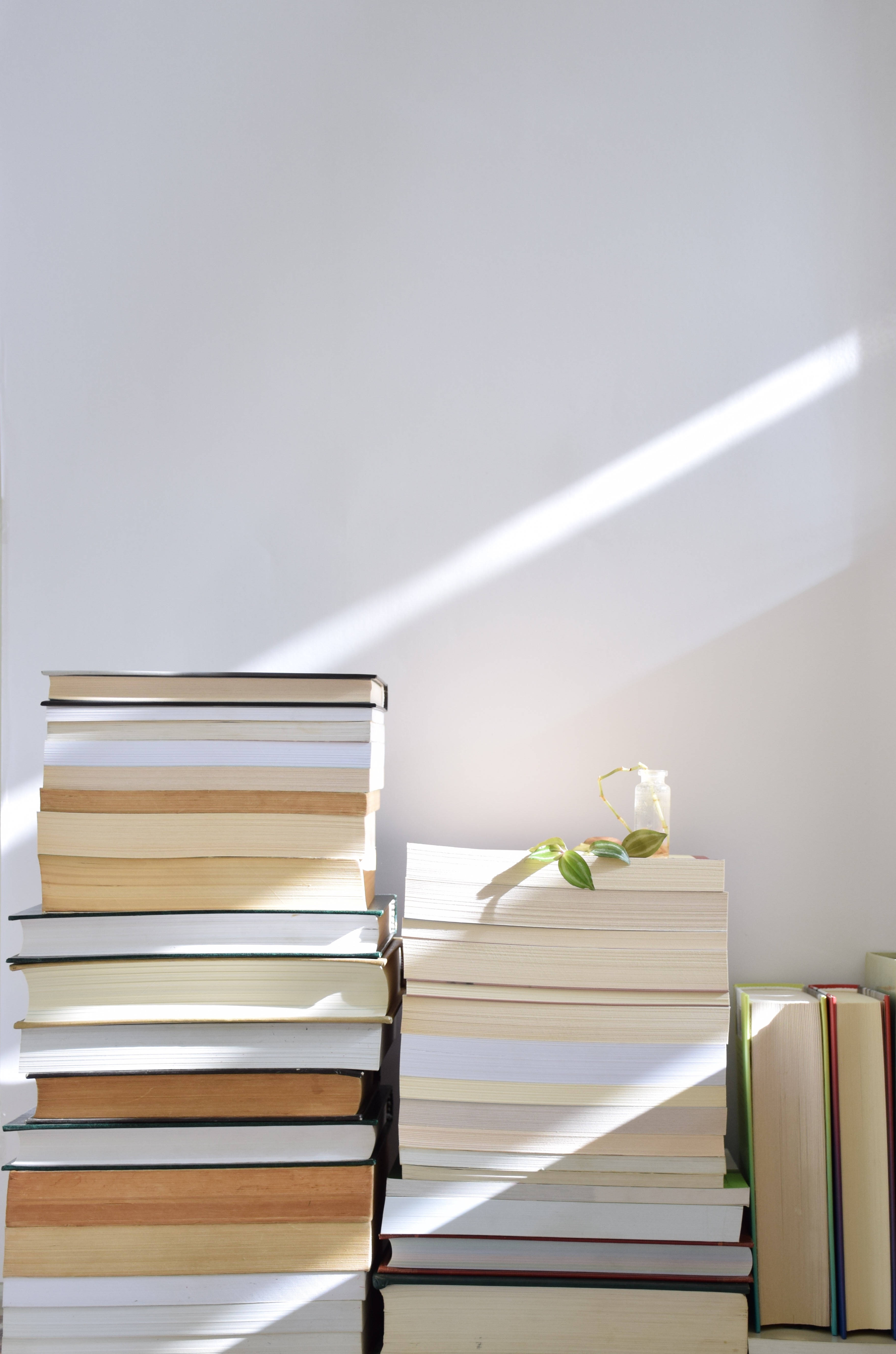 white aesthetic book collection, sunlight beams, stacks of books, 5K Phone Wallpaper
