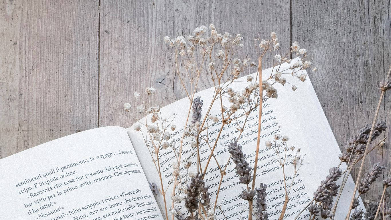 book, dried lavender, baby's breath, HD Desktop Wallpaper