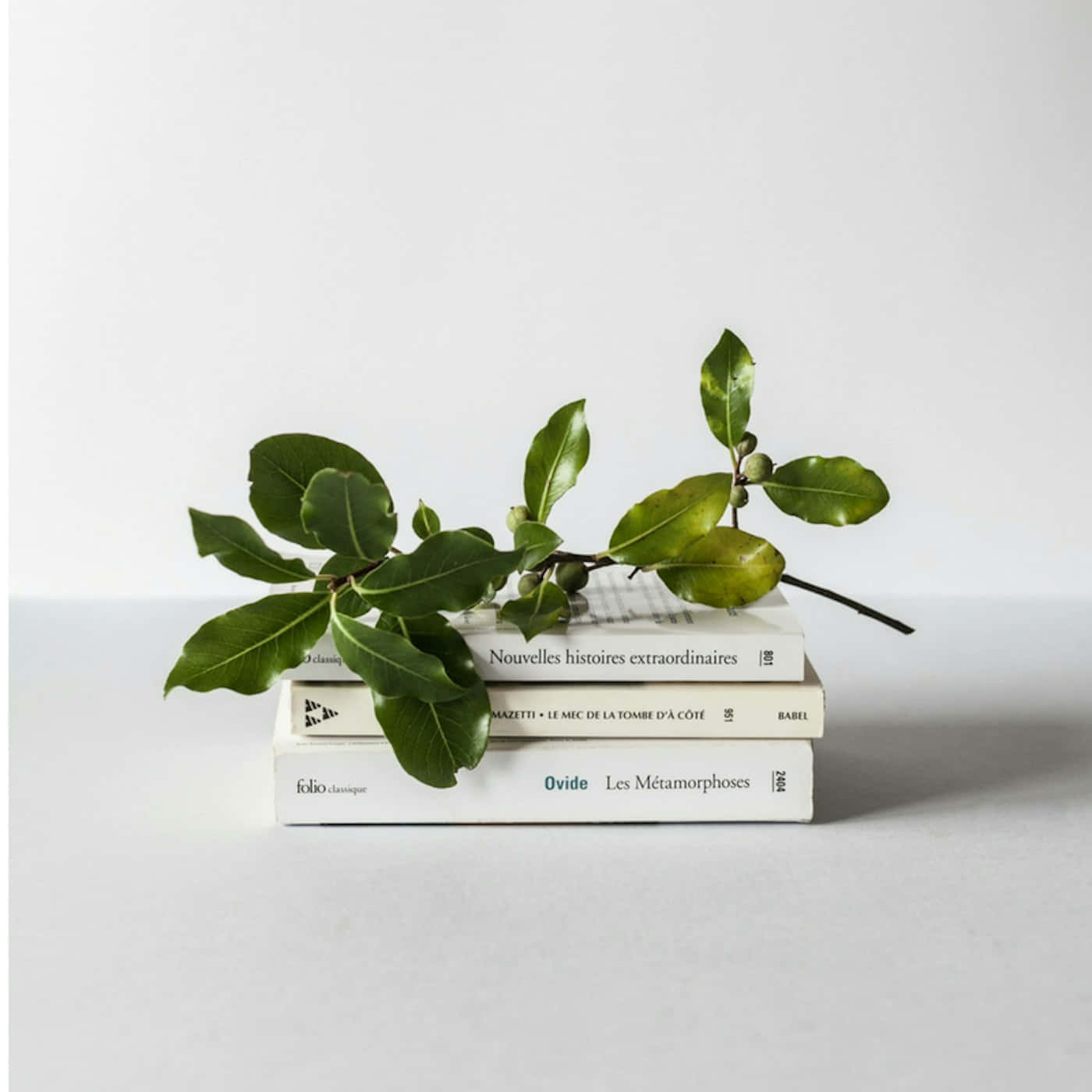 minimalist booksand leaves composition, vibrant green leafy branch, stack of three white French books, HD Desktop Wallpaper