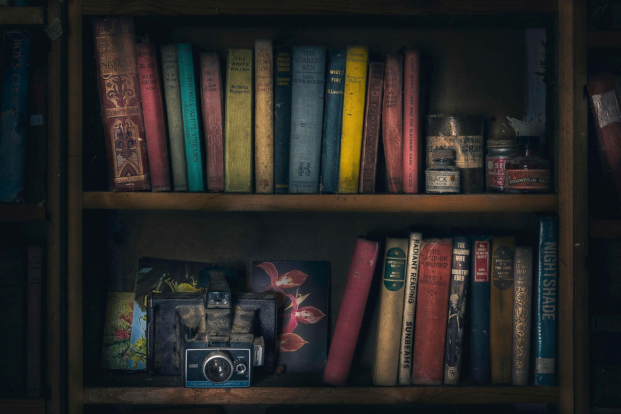 Novel With Camera, wooden bookshelf, vintage books, Full HD Desktop Wallpaper
