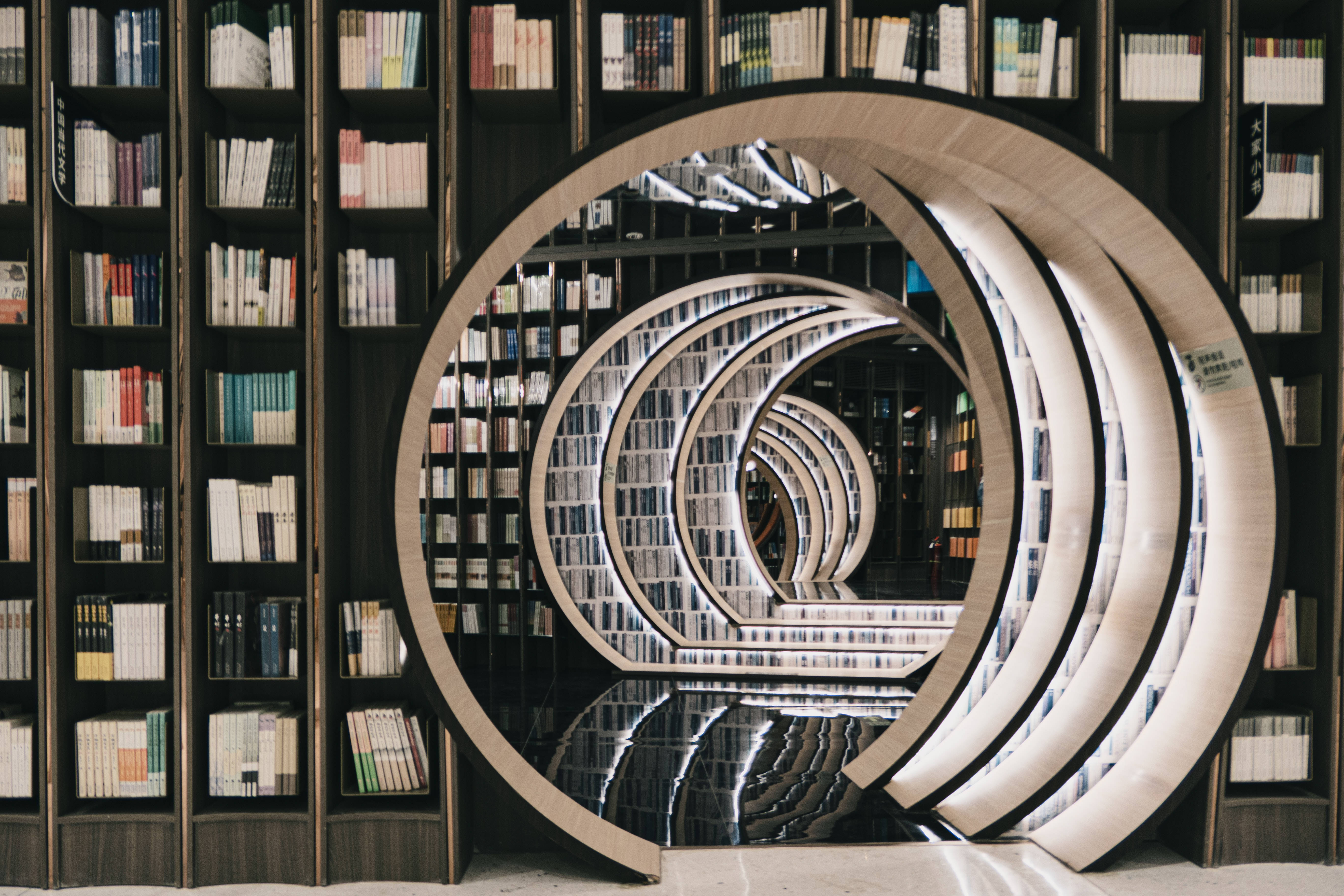 round bookshelf, library, wooden rings, 5K Desktop Wallpaper