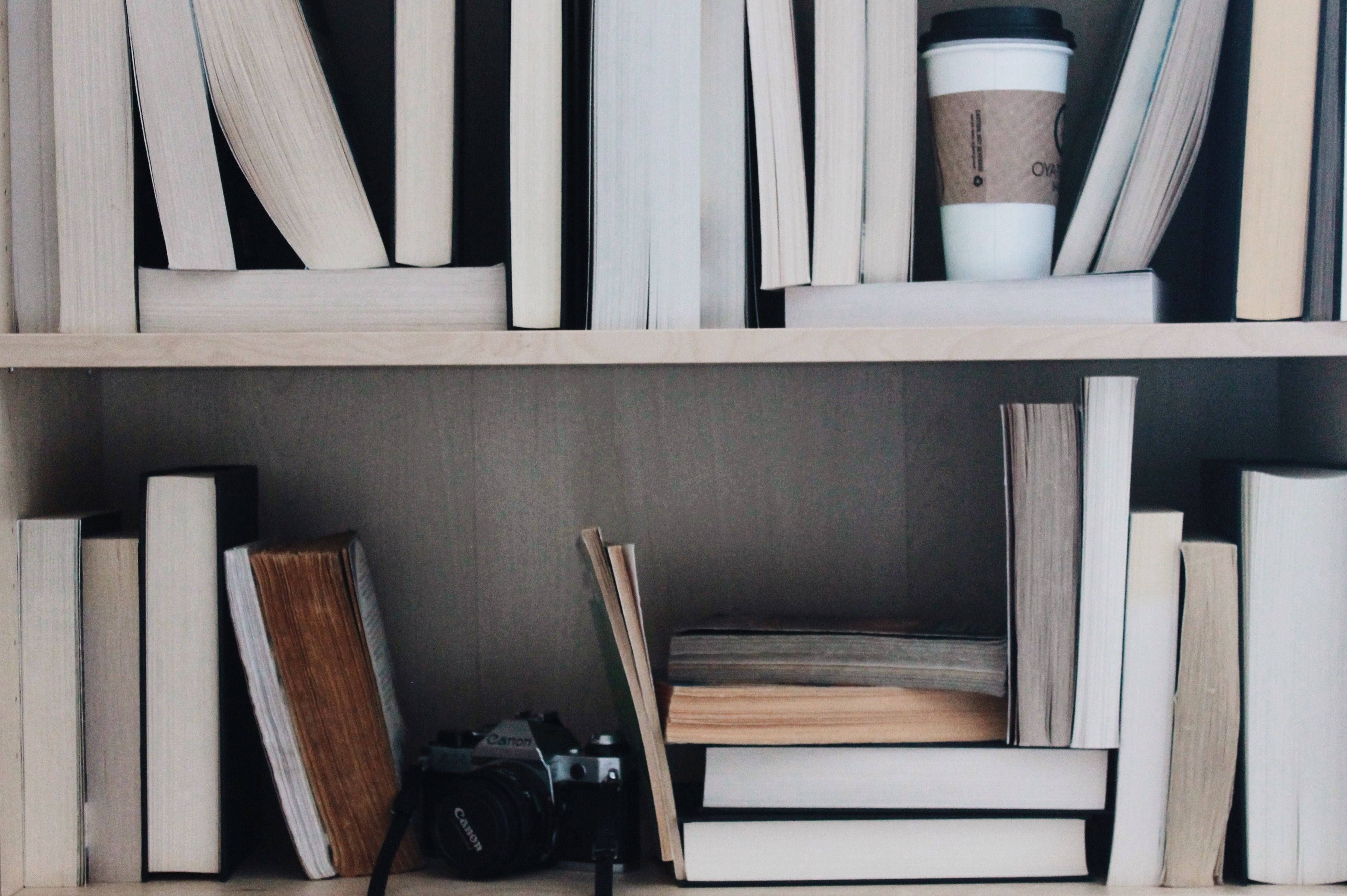 bookshelf, books, coffee cup, 2K Desktop Wallpaper