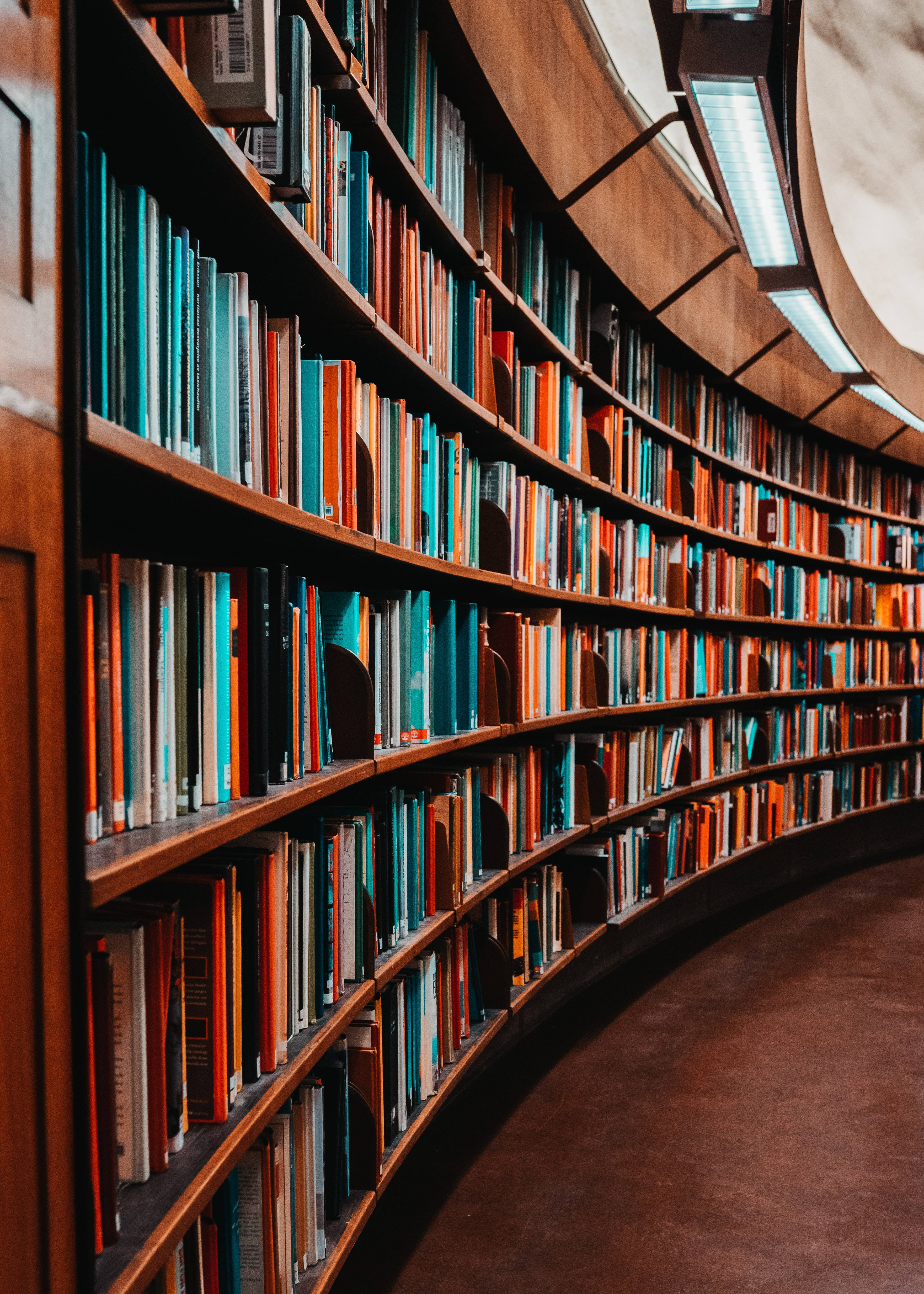 curved wooden bookshelves, colorful books, warmly lit library aisle, 4K Phone Wallpaper