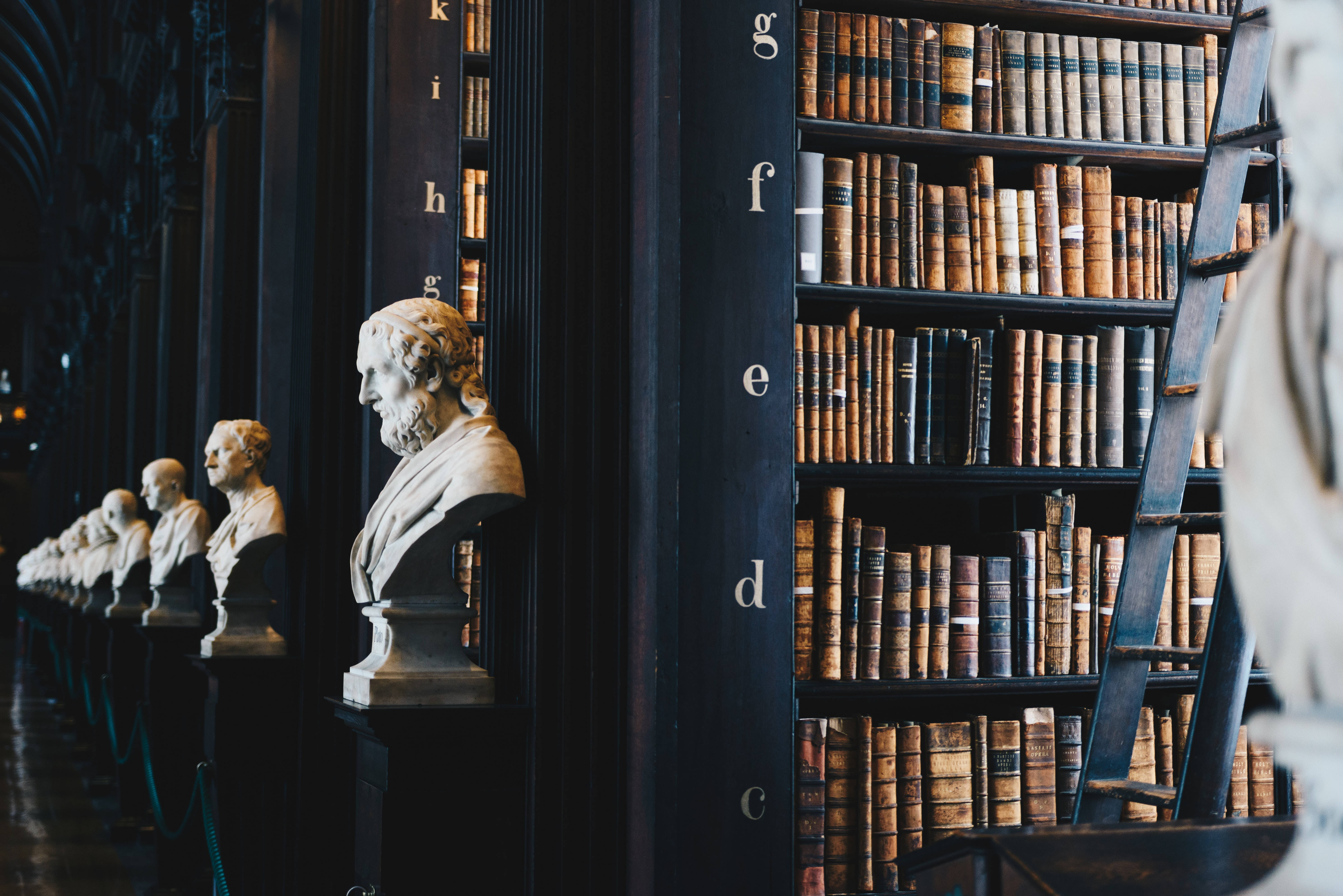 library, marble busts, dark shelves, 5K Desktop Wallpaper