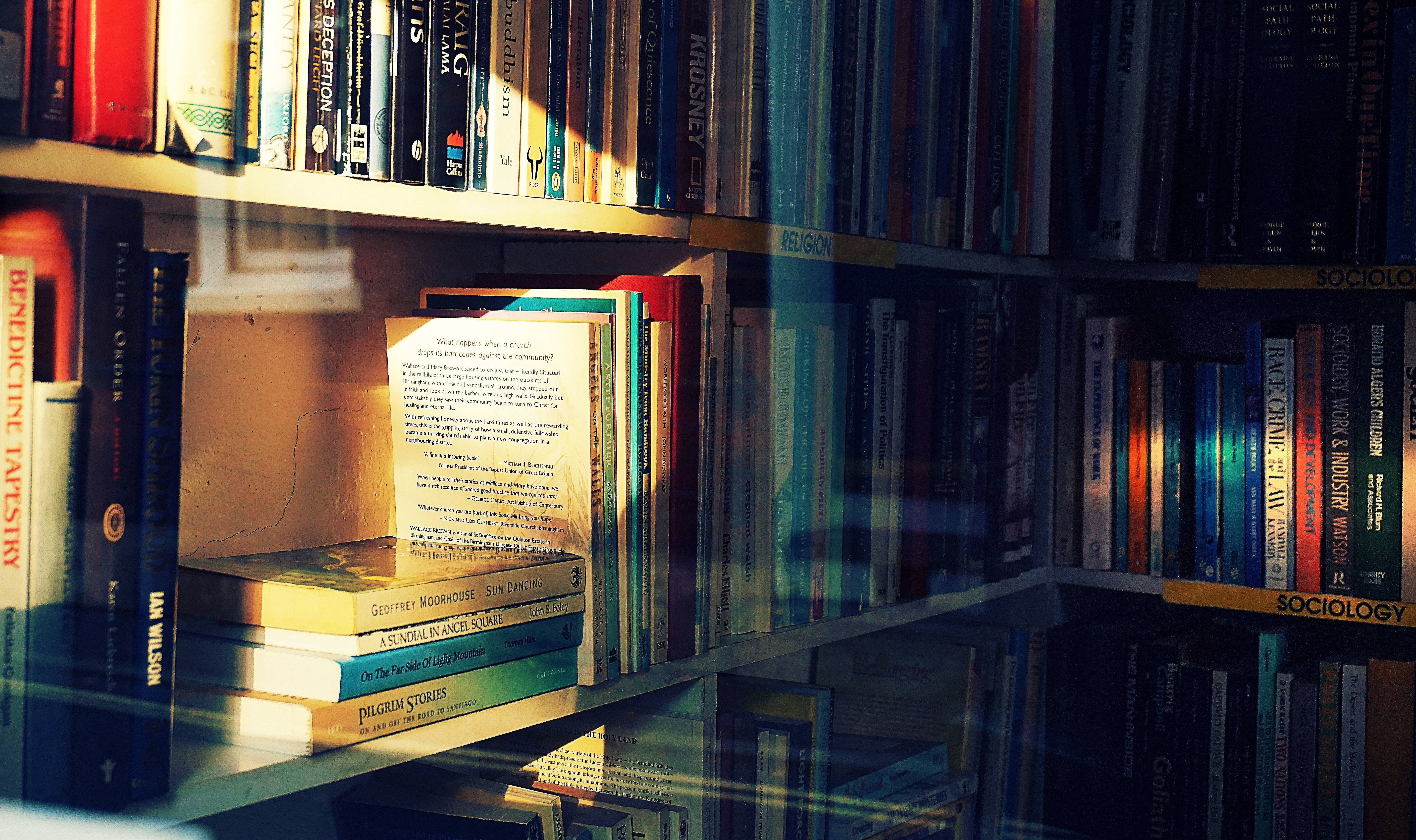 bookshelf, sunlight, window, 5K Desktop Wallpaper