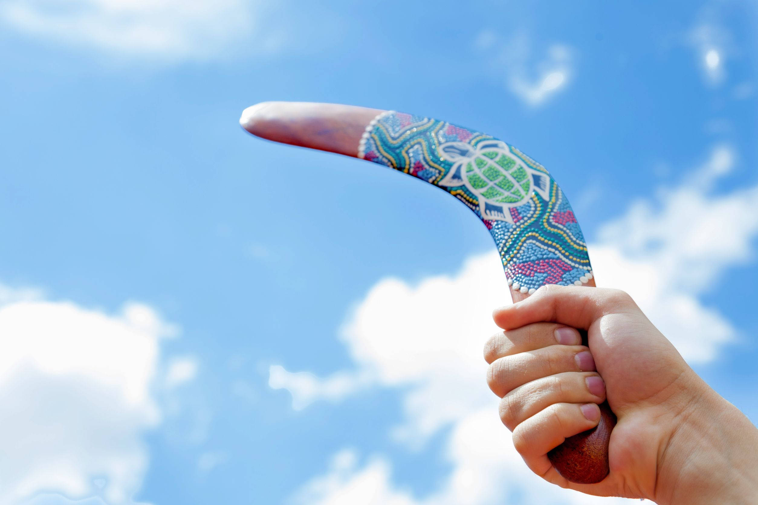 Boomerang, turtle symbol, vibrantly painted, Full HD Desktop Wallpaper